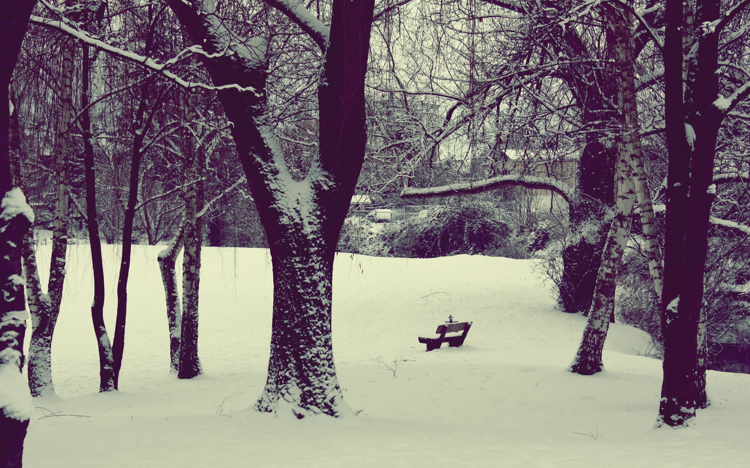 Téléchargez gratuitement l'image Hiver, Terre/nature sur le bureau de votre PC