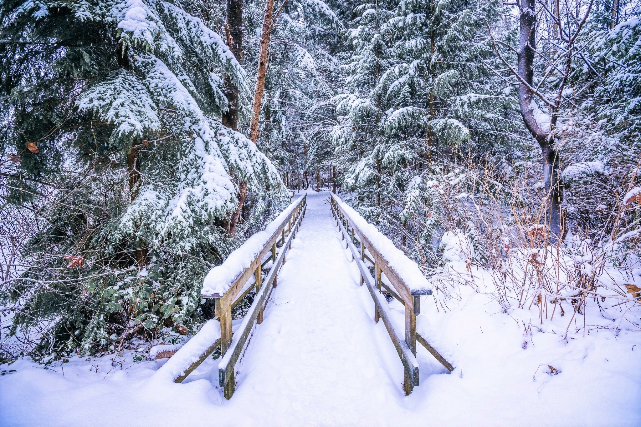 Free download wallpaper Winter, Snow, Forest, Bridge, Photography on your PC desktop