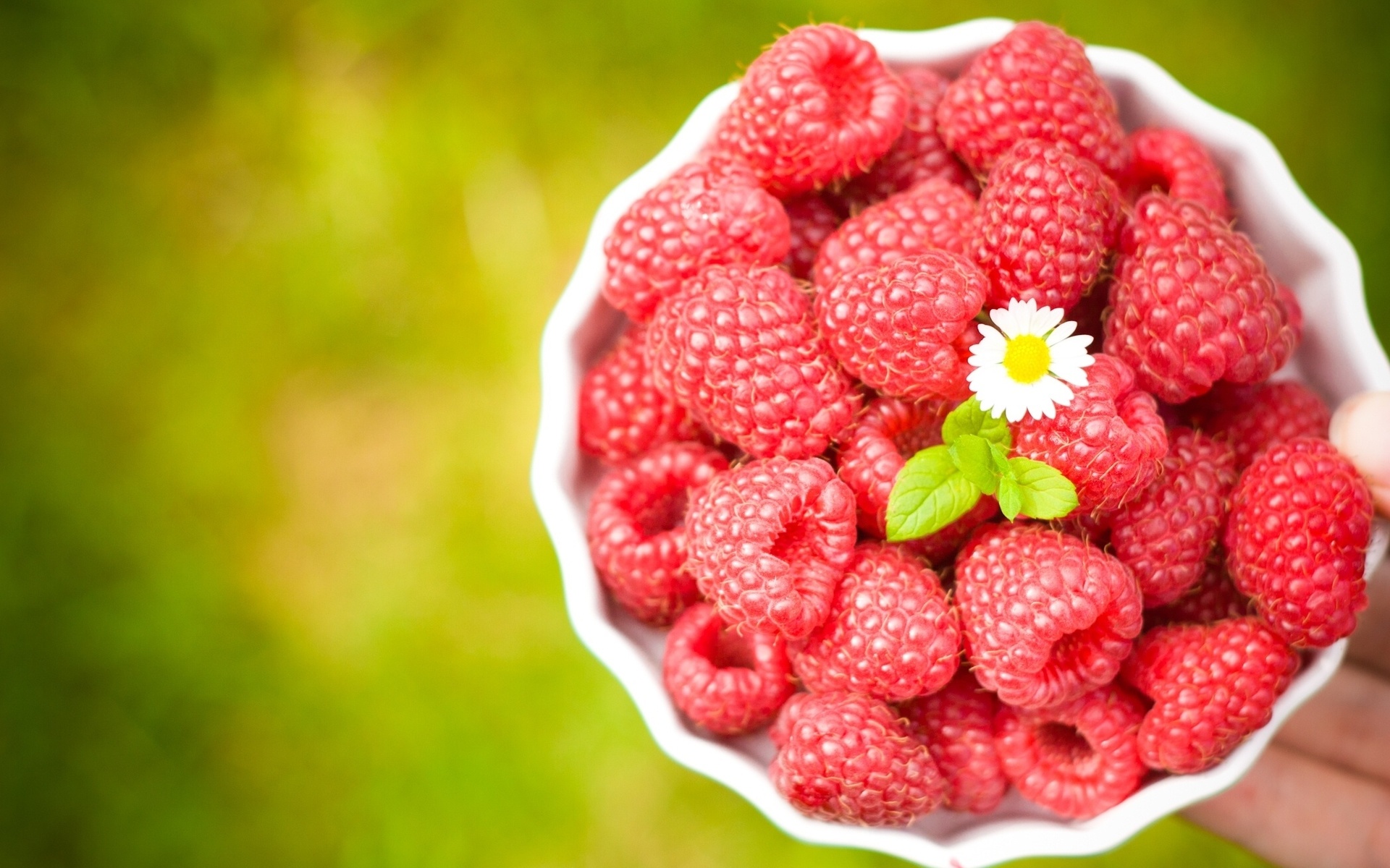 Free download wallpaper Fruits, Food, Raspberry on your PC desktop