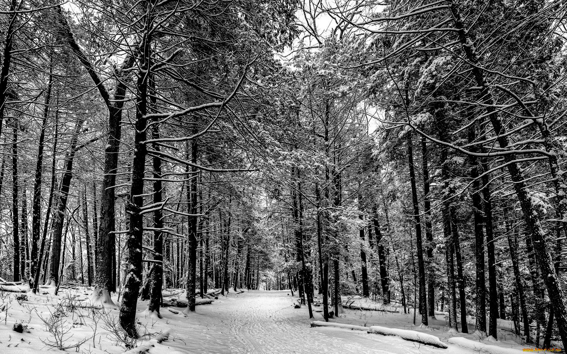 Téléchargez gratuitement l'image Hiver, Terre/nature sur le bureau de votre PC