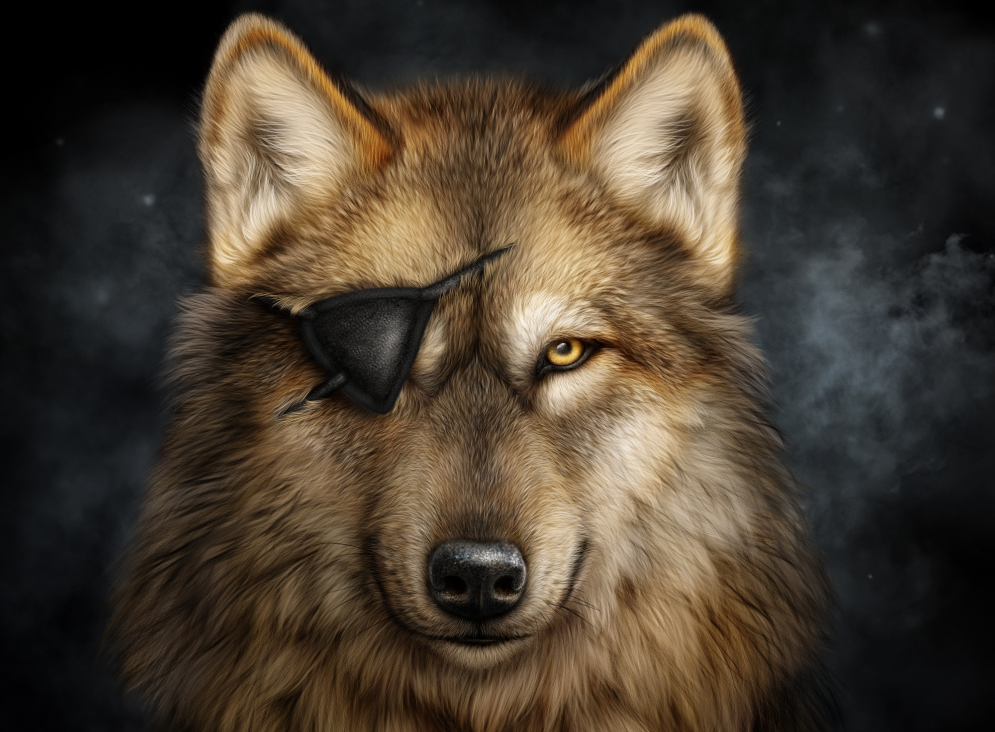 Descarga gratuita de fondo de pantalla para móvil de Animales, Lobo, Parche En El Ojo, Wolves.