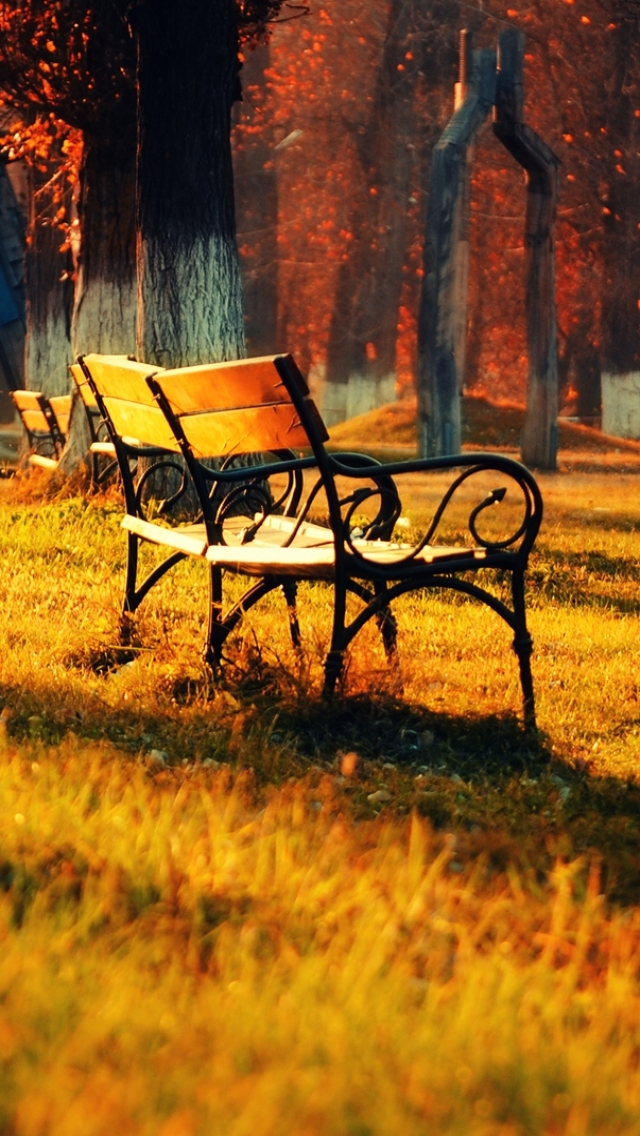 Download mobile wallpaper Park, Fall, Bench, Sunny, Man Made for free.