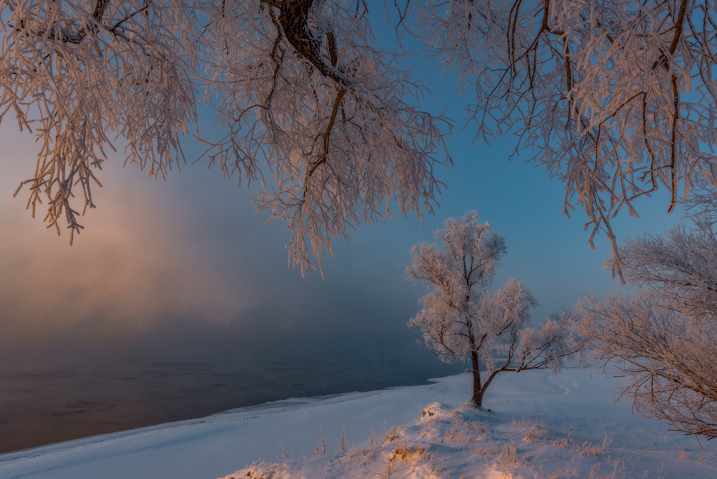 Baixe gratuitamente a imagem Inverno, Neve, Árvore, Geada, Rússia, Terra/natureza na área de trabalho do seu PC