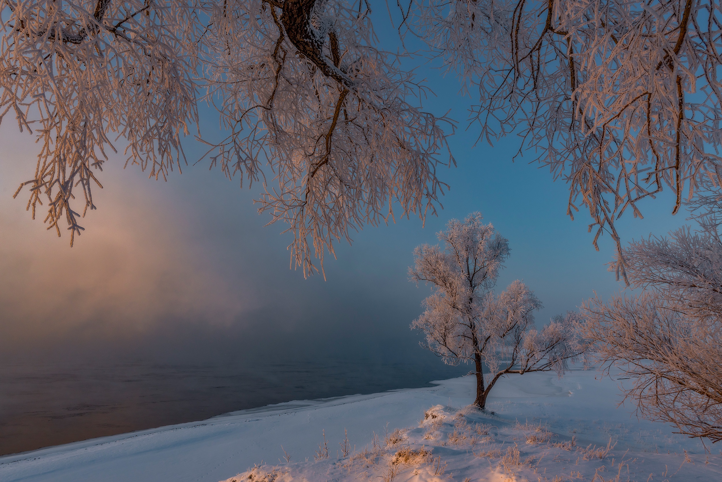 Handy-Wallpaper Winter, Schnee, Baum, Frost, Russland, Erde/natur kostenlos herunterladen.