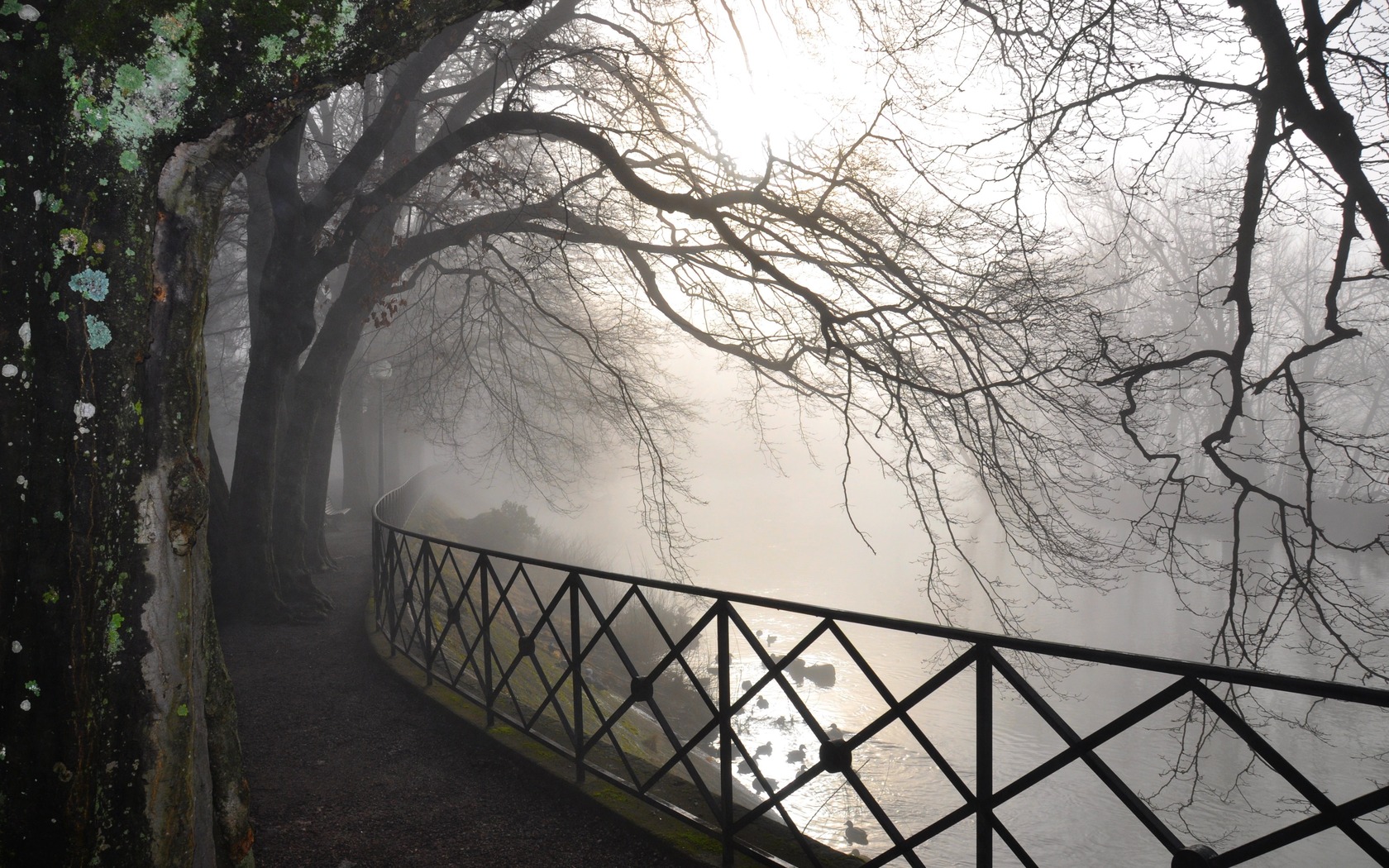 Download mobile wallpaper Park, Fog, Photography for free.