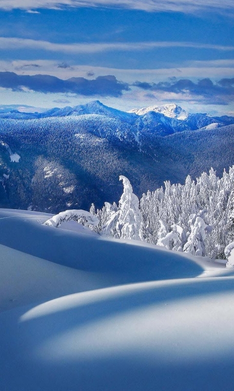 Descarga gratuita de fondo de pantalla para móvil de Invierno, Tierra/naturaleza.