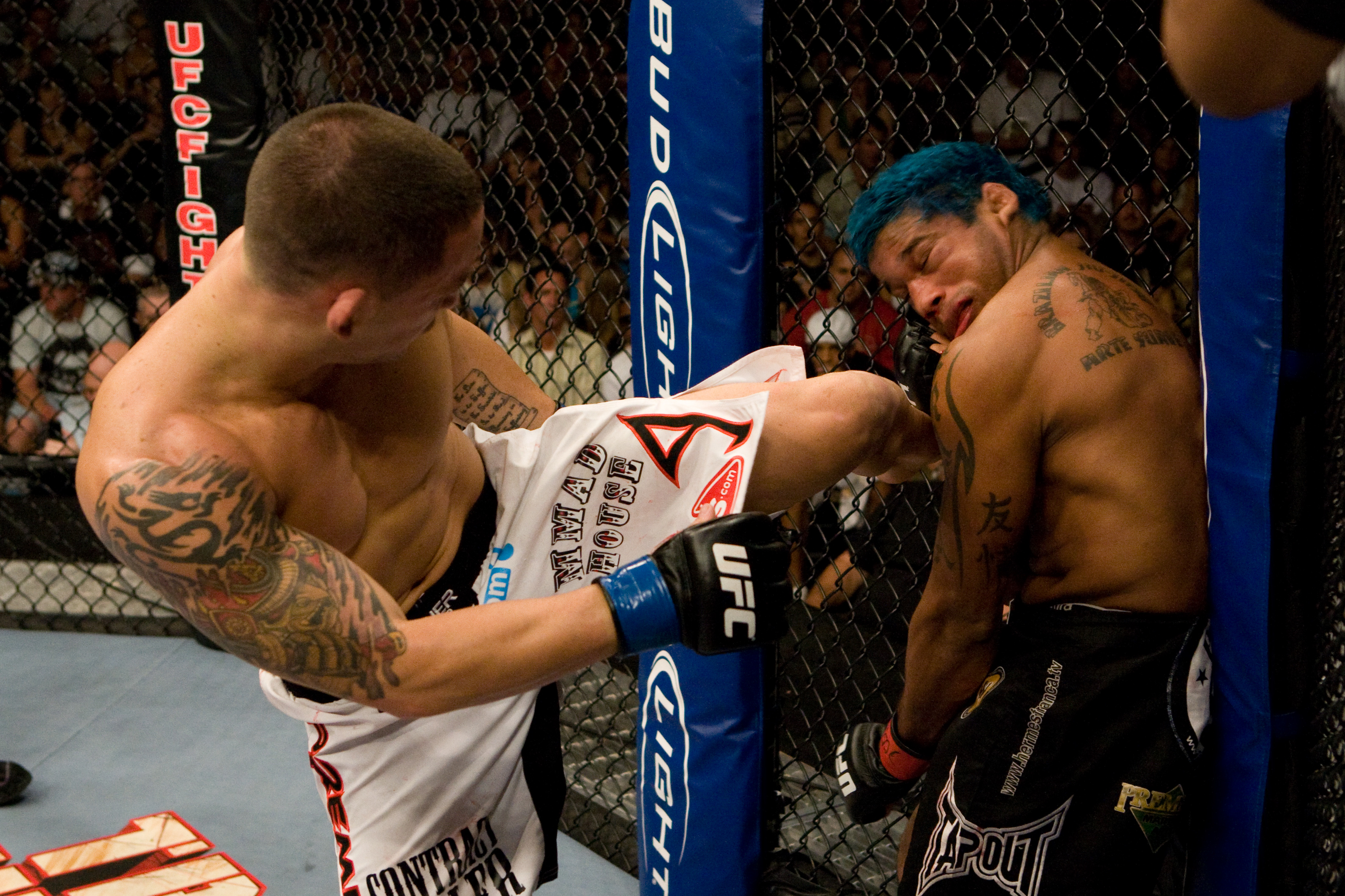 Download mobile wallpaper Sports, Mixed Martial Arts for free.