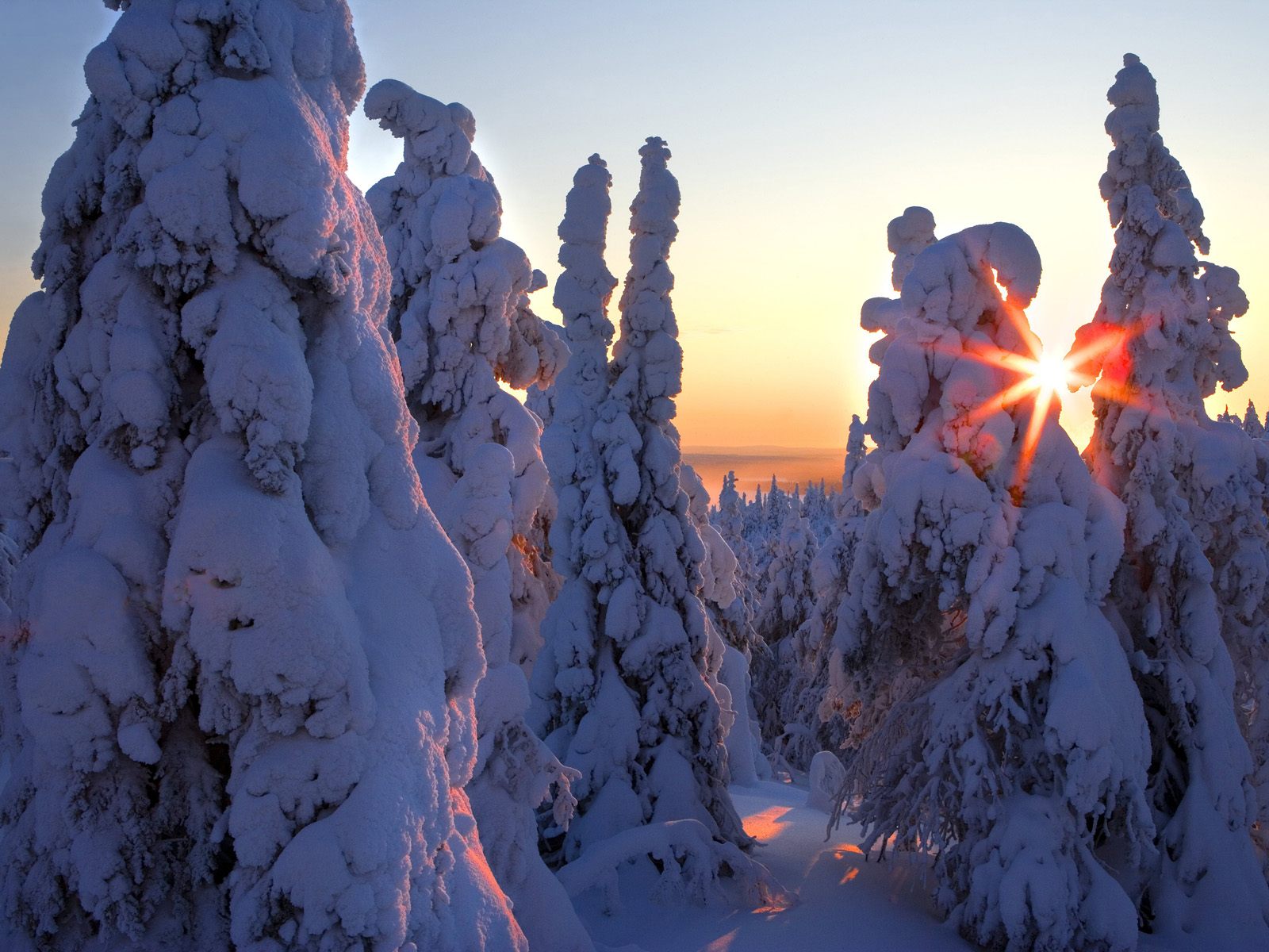 Téléchargez gratuitement l'image Hiver, Terre/nature sur le bureau de votre PC