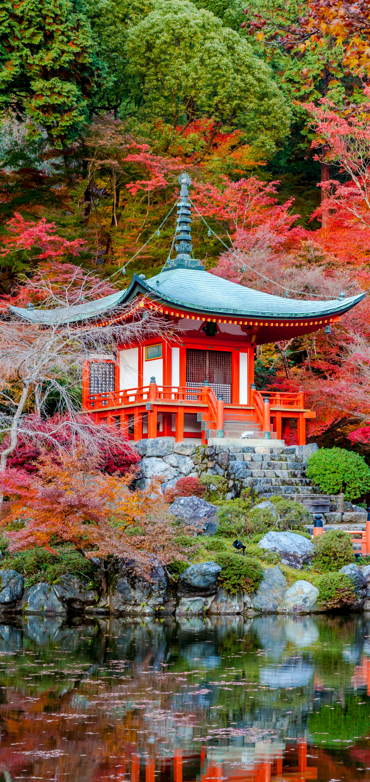 1166924 télécharger l'image jardin japonais, religieux, daigo ji, pont, temple, réflexion, réflection, sanctuaire, tombeau, arbre, automne, tomber, temples - fonds d'écran et économiseurs d'écran gratuits