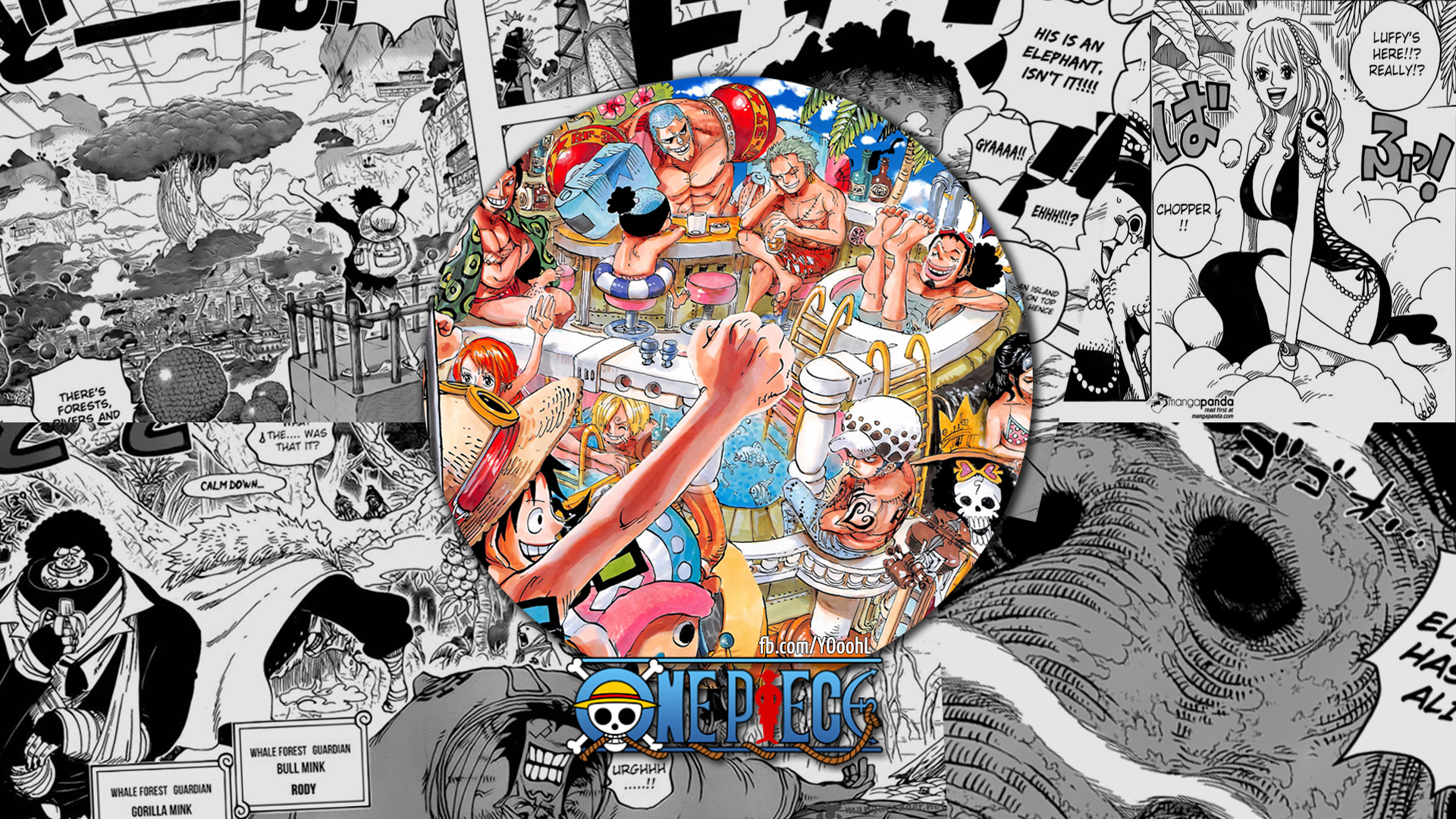 Téléchargez gratuitement l'image Animé, One Piece, Tony Tony Chopper, Usopp (One Piece), Roronoa Zoro, Monkey D Luffy, Nami (One Piece), Sanji (Une Pièce), Ruisseau (One Piece), Nico Robin, Franky (One Piece), Loi De Trafalgar sur le bureau de votre PC