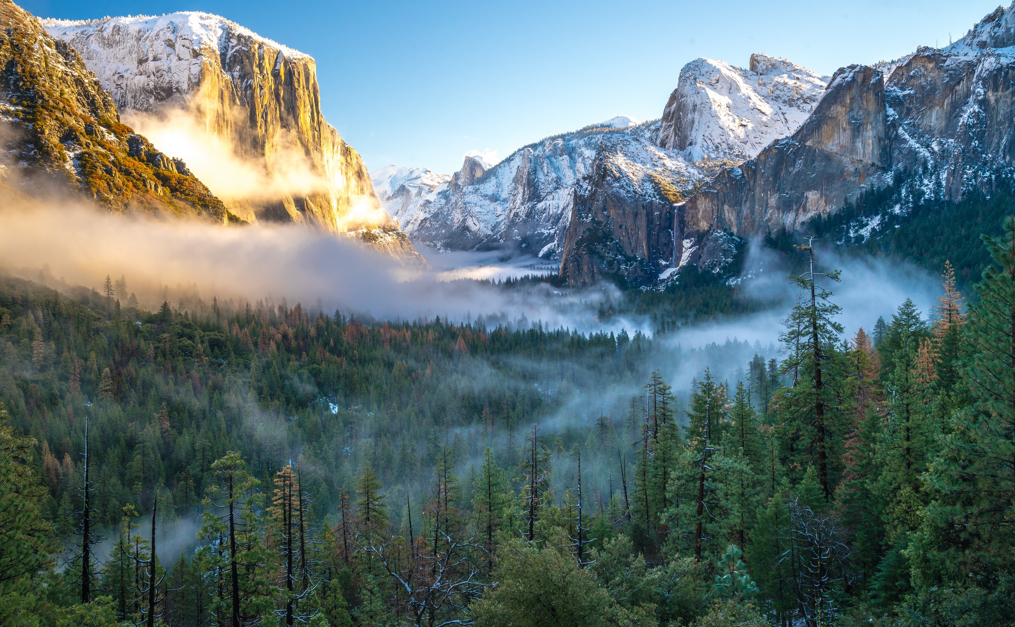 PCデスクトップに風景, 自然, 山, 森, 霧, 崖, 地球, 谷画像を無料でダウンロード