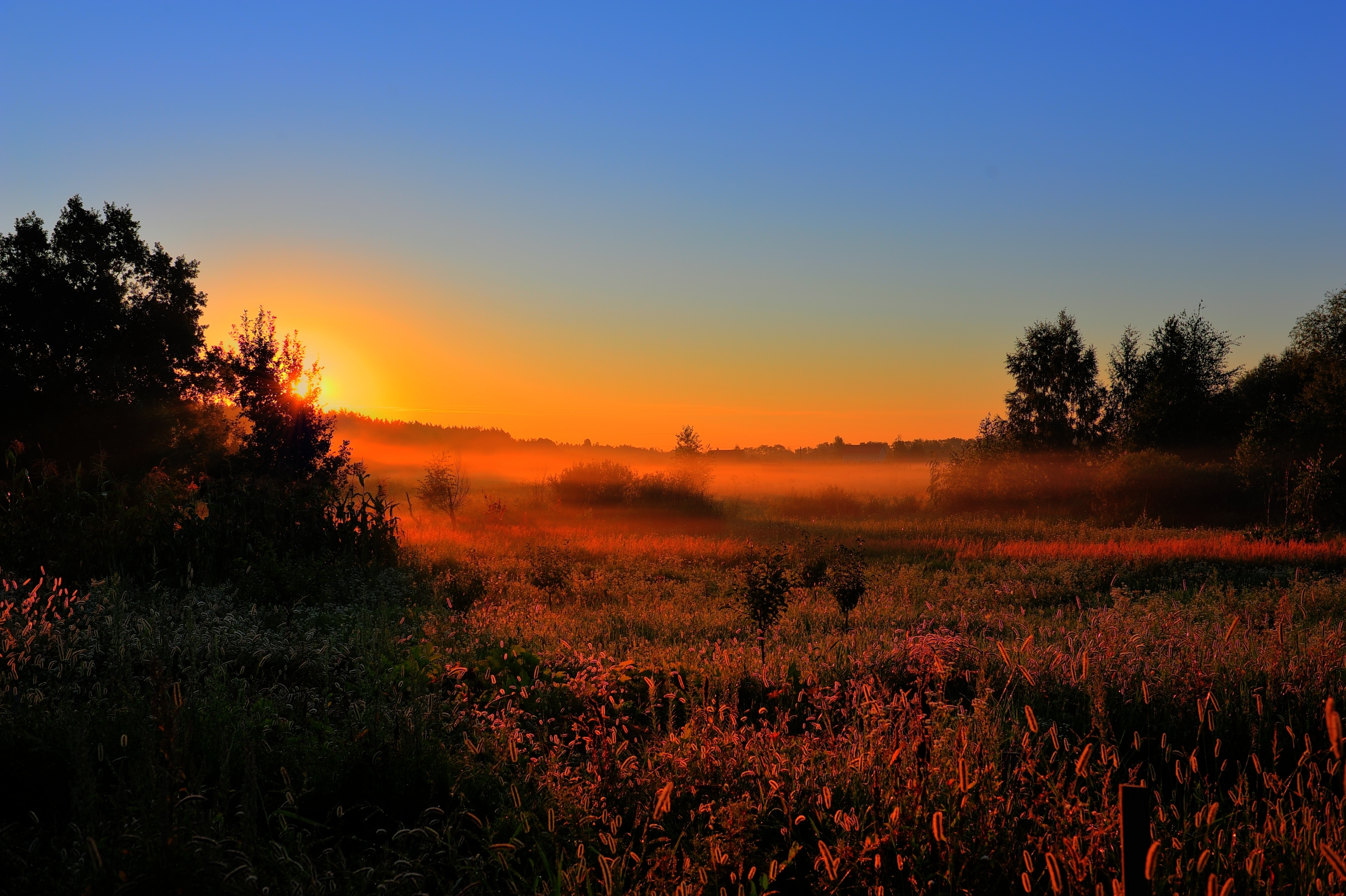 Laden Sie das Sunset, Beleuchtung, Sun, Natur, Feld-Bild kostenlos auf Ihren PC-Desktop herunter