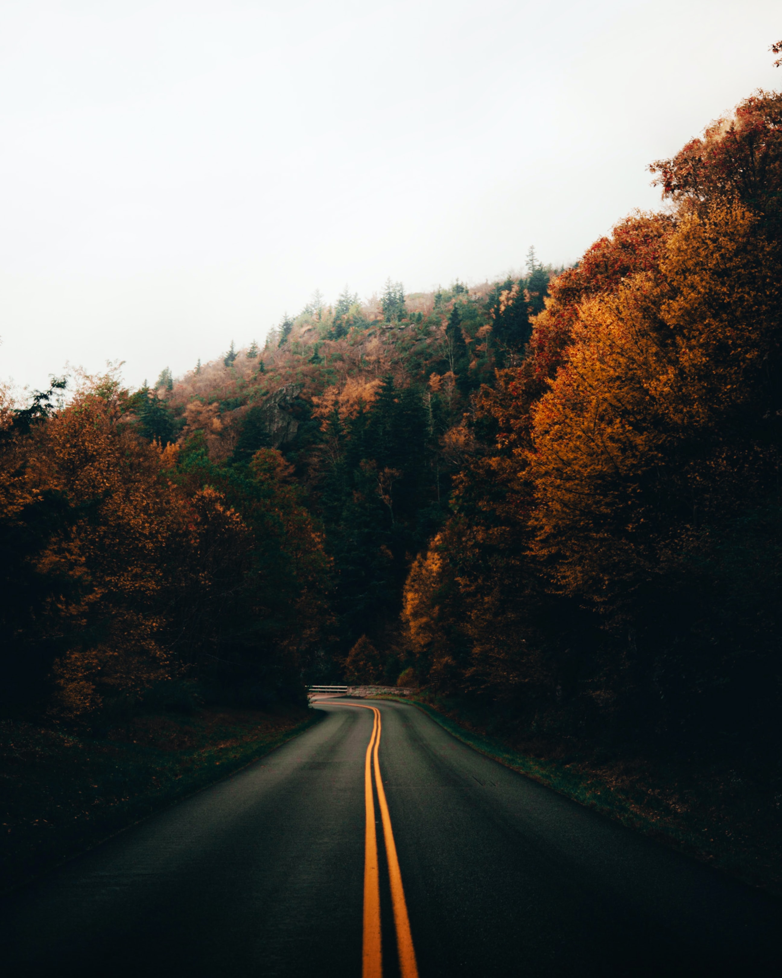 Free download wallpaper Nature, Trees, Road, Turn, Autumn on your PC desktop