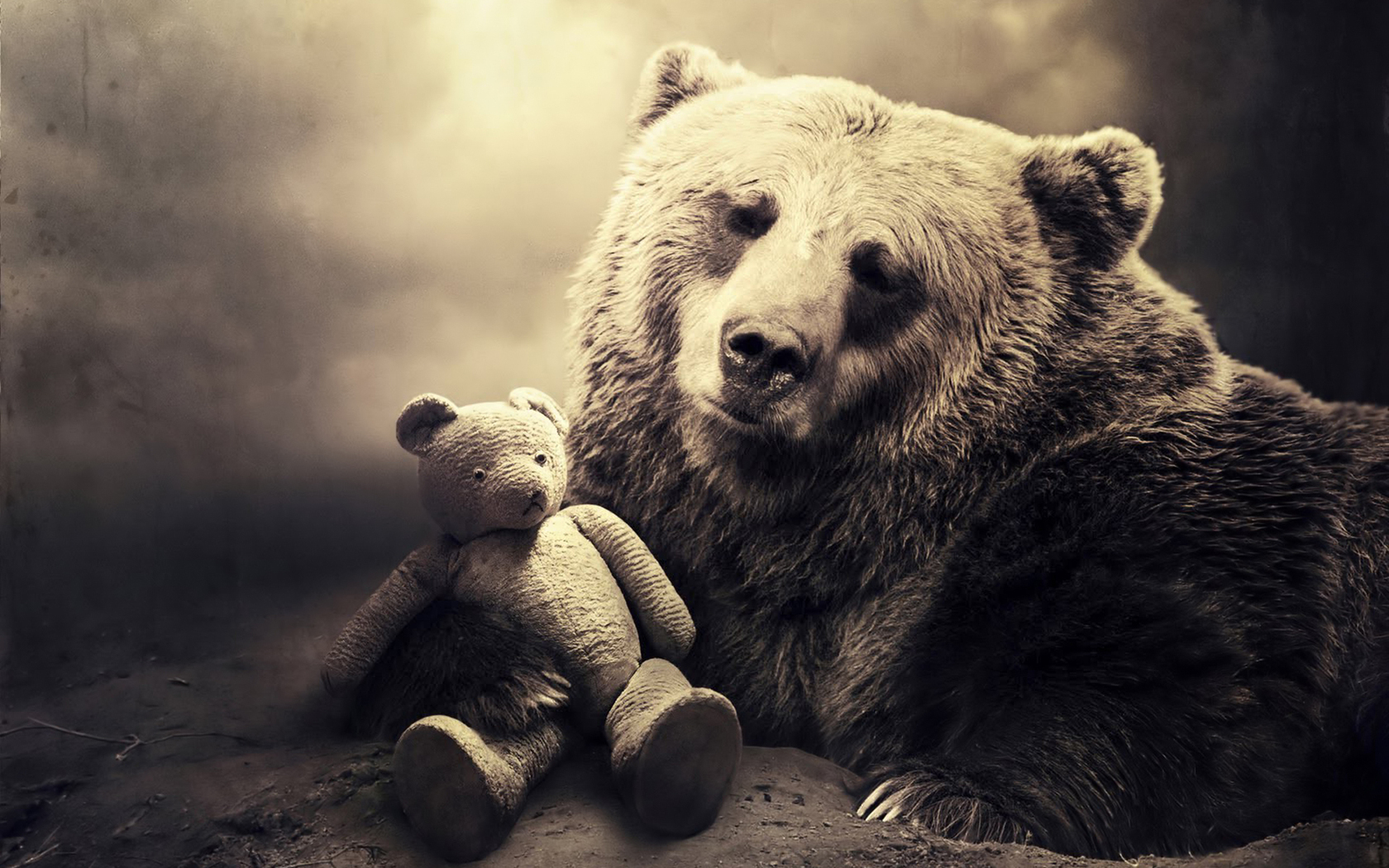 animals, art photo, toys, bears Panoramic Wallpaper