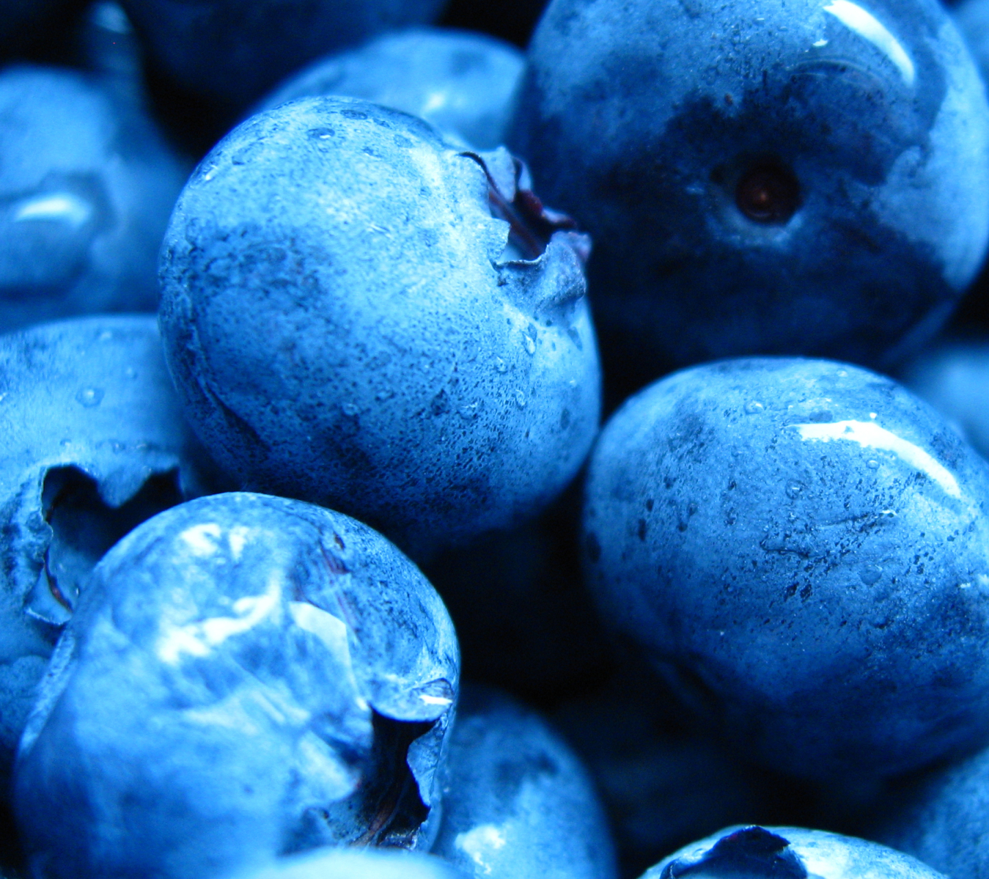 Free download wallpaper Food, Blueberry on your PC desktop