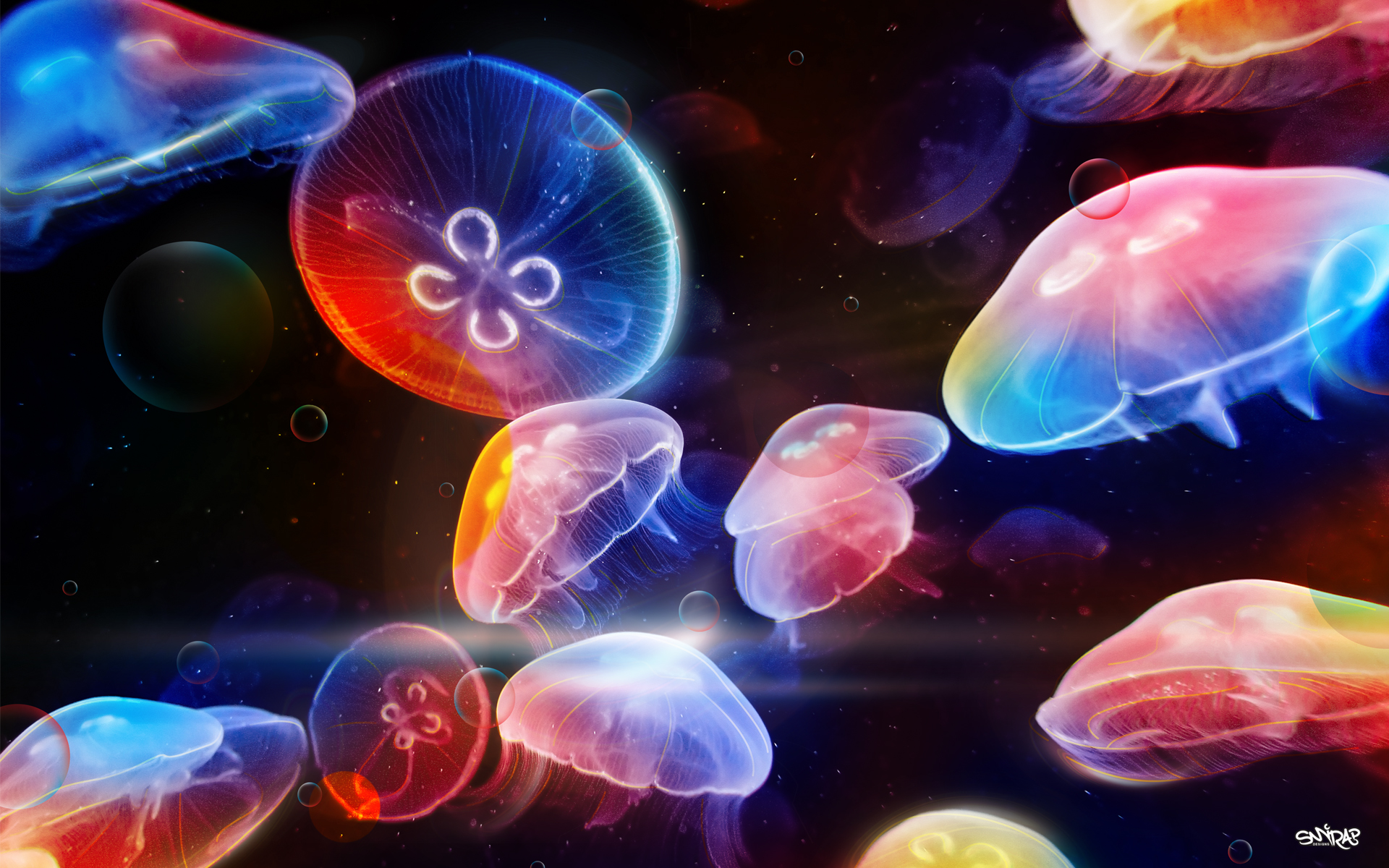 Free download wallpaper Jellyfish, Animal, Colorful, Artistic, Dancing on your PC desktop