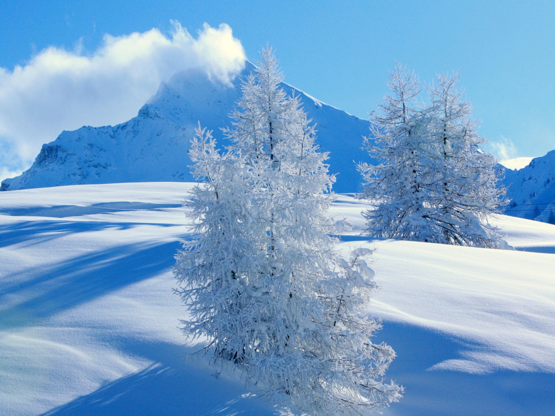 PCデスクトップに冬, 木, 雪, 山, 地球画像を無料でダウンロード