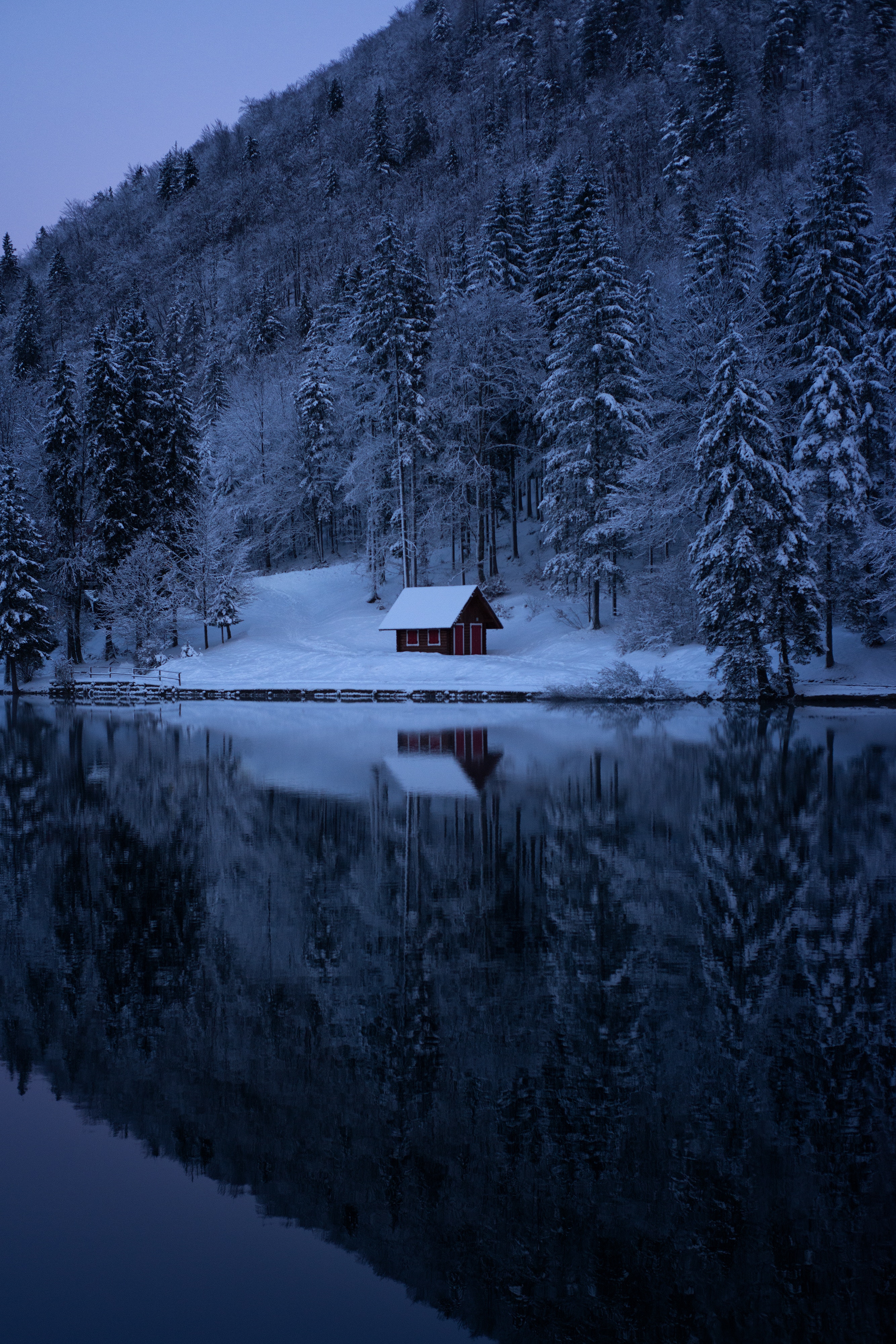 snow, trees, forest, nature, winter, lake