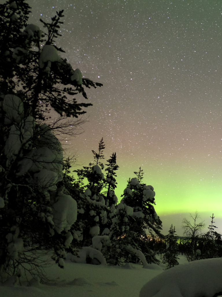 Скачать картинку Зима, Звезды, Снег, Лес, Северное Сияние, Финляндия, Земля/природа в телефон бесплатно.