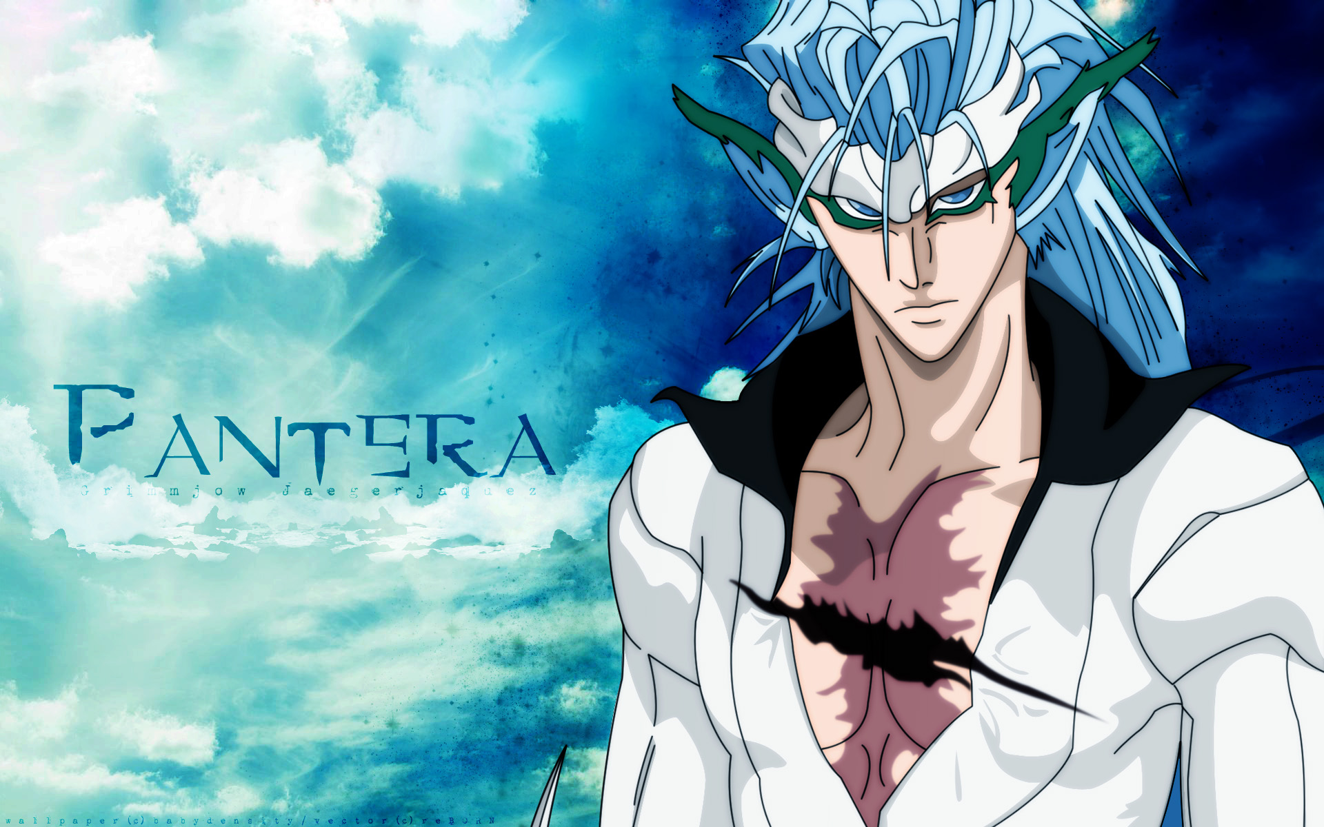 Download mobile wallpaper Grimmjow Jaegerjaquez, Bleach, Anime for free.