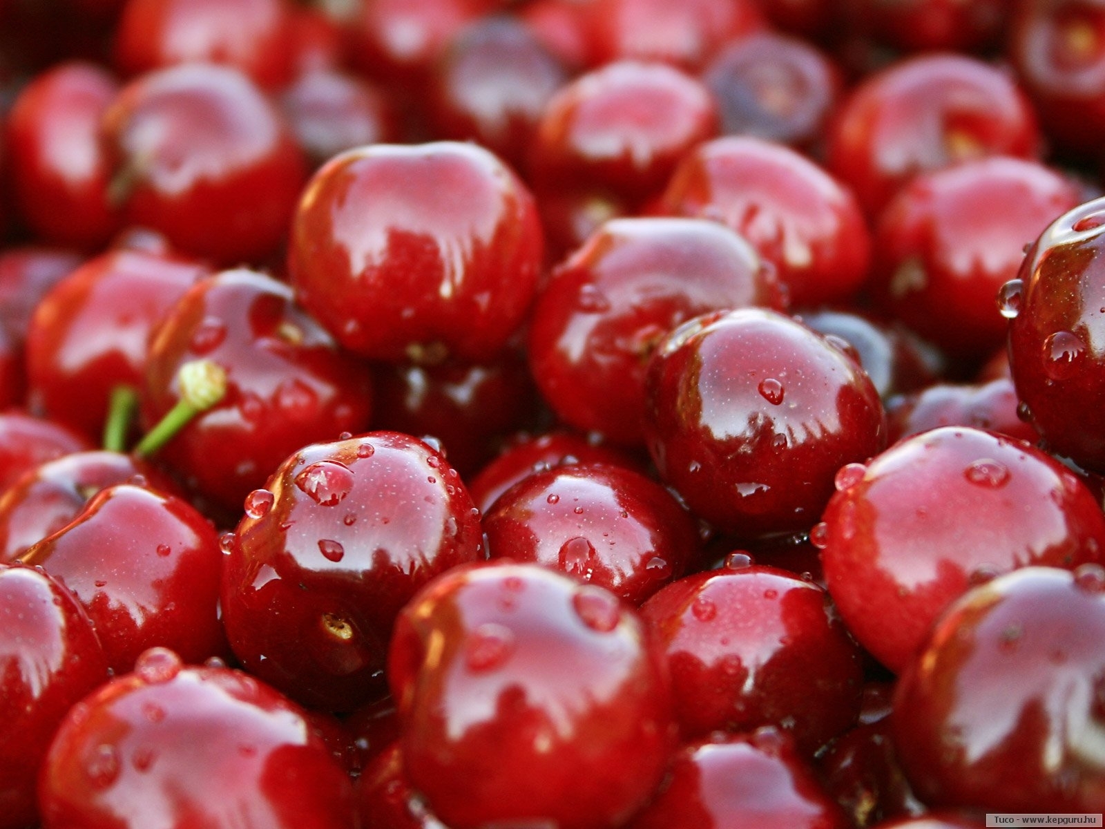 fruits, sweet cherry, background, berries, red