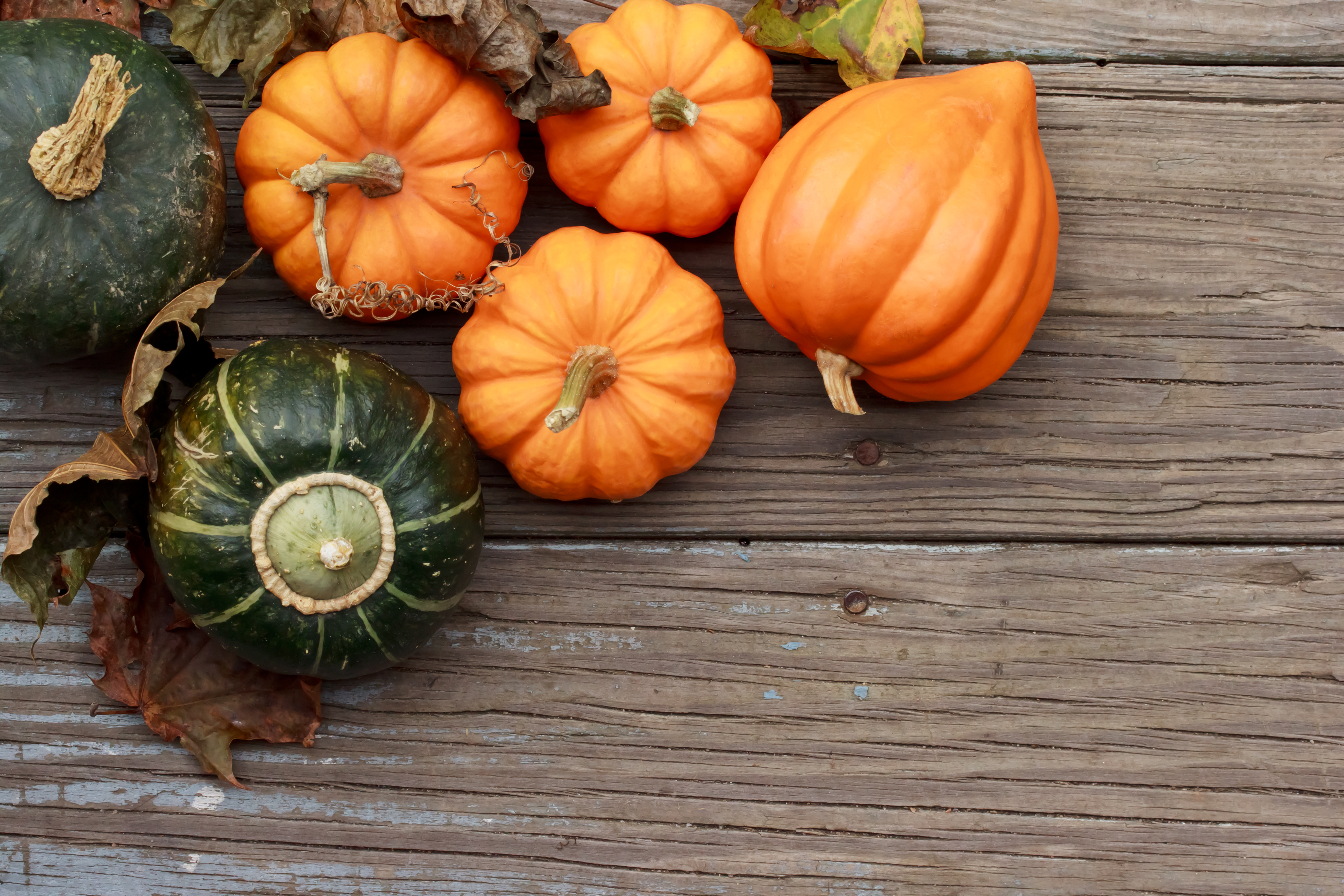 Laden Sie das Herbst, Kürbis, Nahrungsmittel-Bild kostenlos auf Ihren PC-Desktop herunter