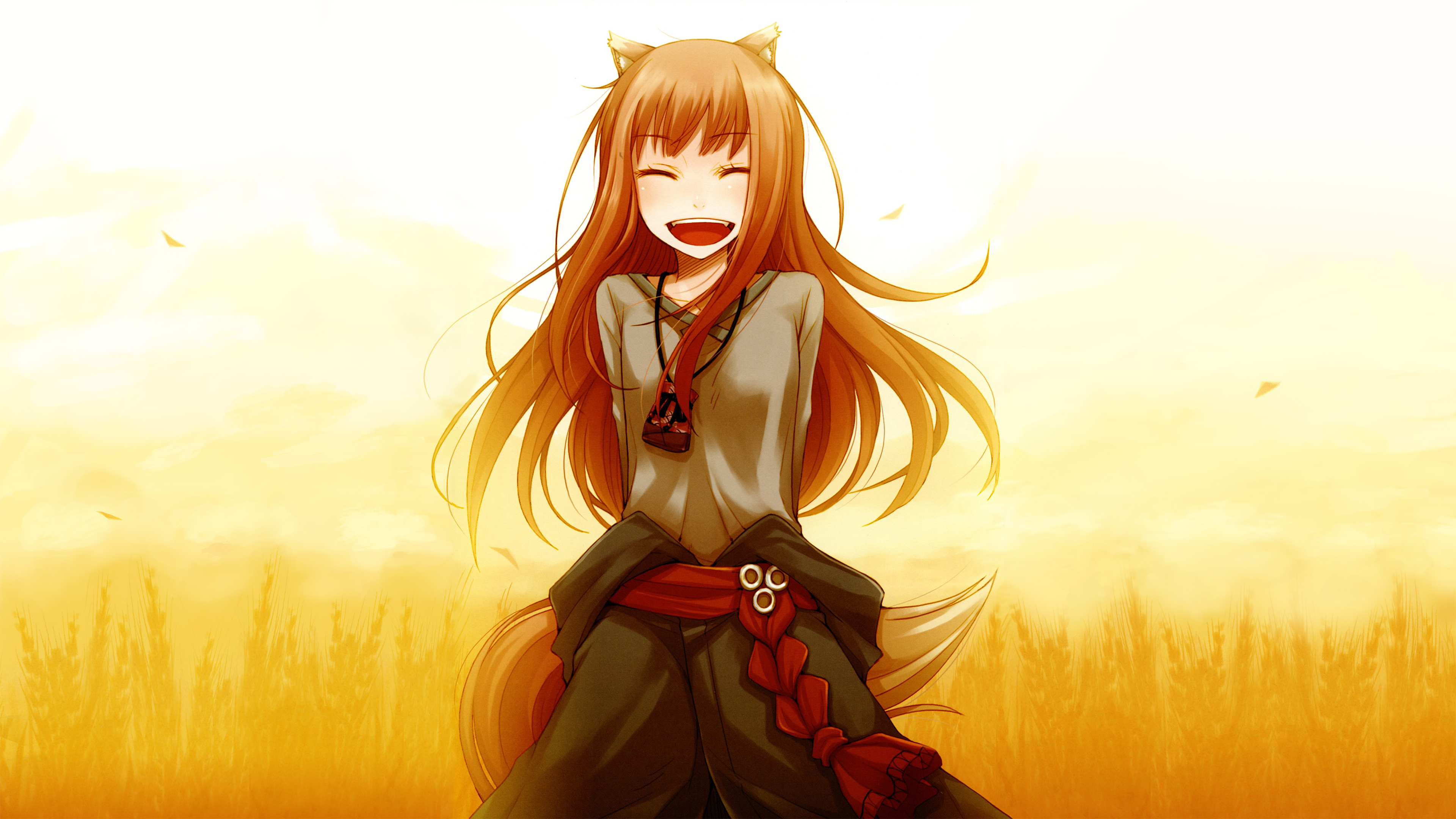 holo (spice & wolf), anime, spice and wolf, animal ears, belt, brown hair, long hair, necklace, smile, sunset, tail