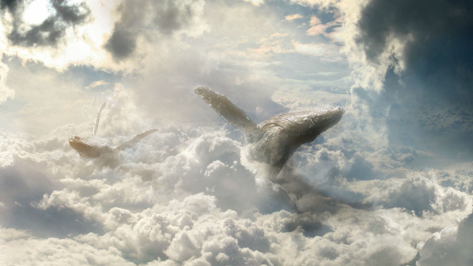 Free download wallpaper Fantasy, Sky, Cloud, Whale, Fantasy Animals on your PC desktop