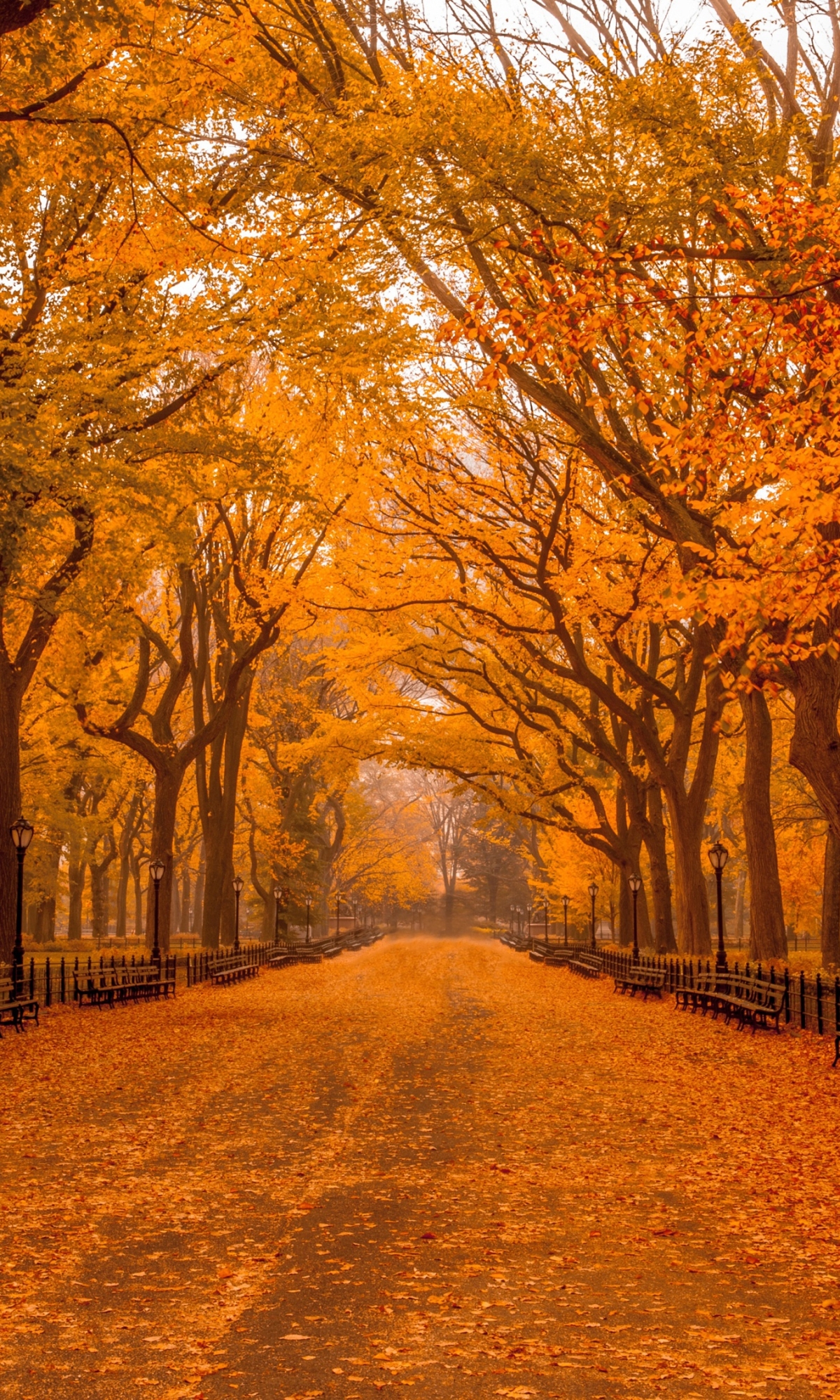 Baixar papel de parede para celular de Outono, Parque, Cair, Nova York, Parque Central, Feito Pelo Homem gratuito.