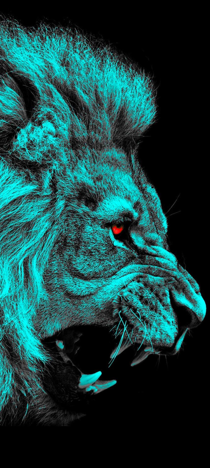 Download mobile wallpaper Lion, Cats, Animal for free.