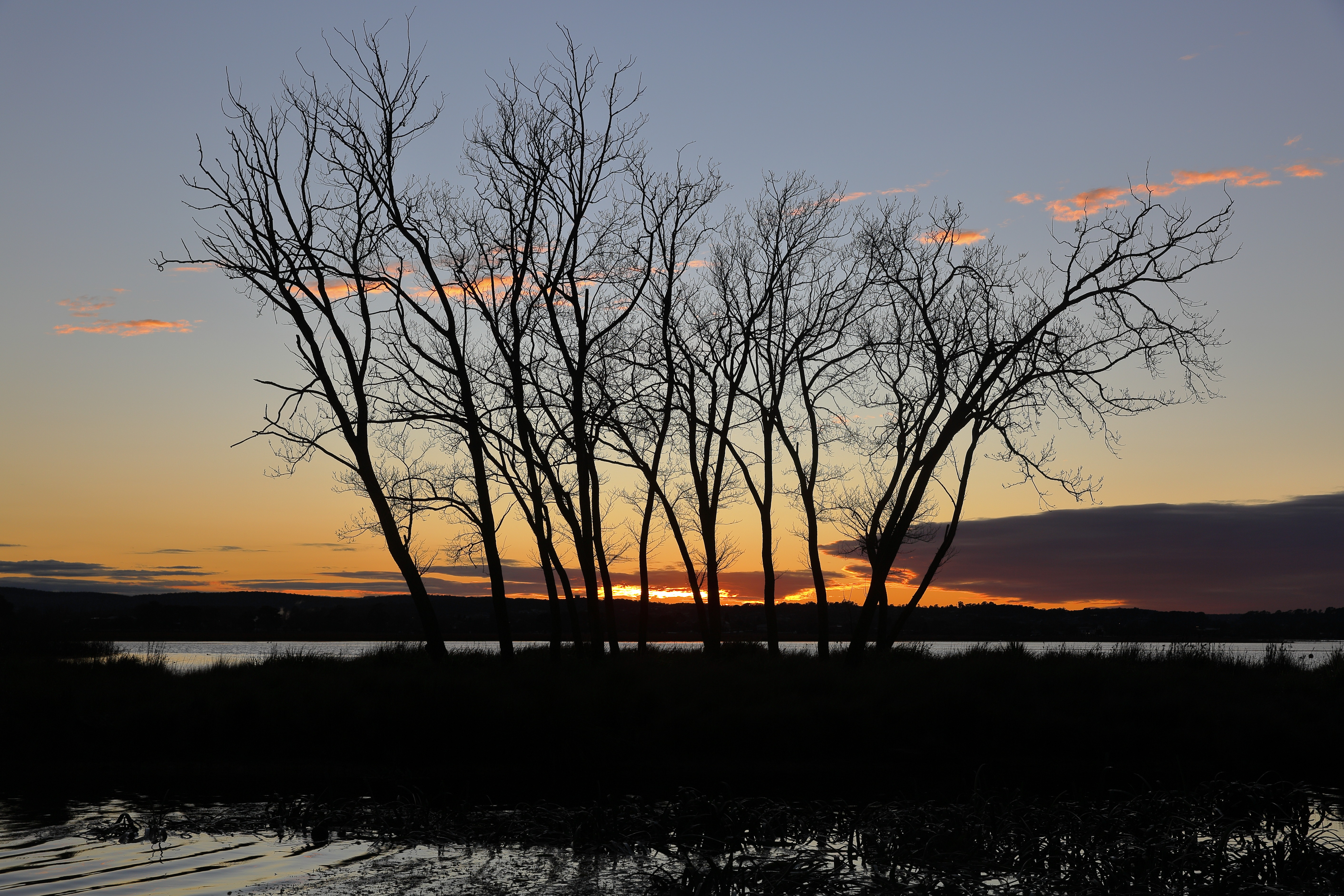 Free download wallpaper Trees, Sunset, Sky, Silhouette, Nature on your PC desktop