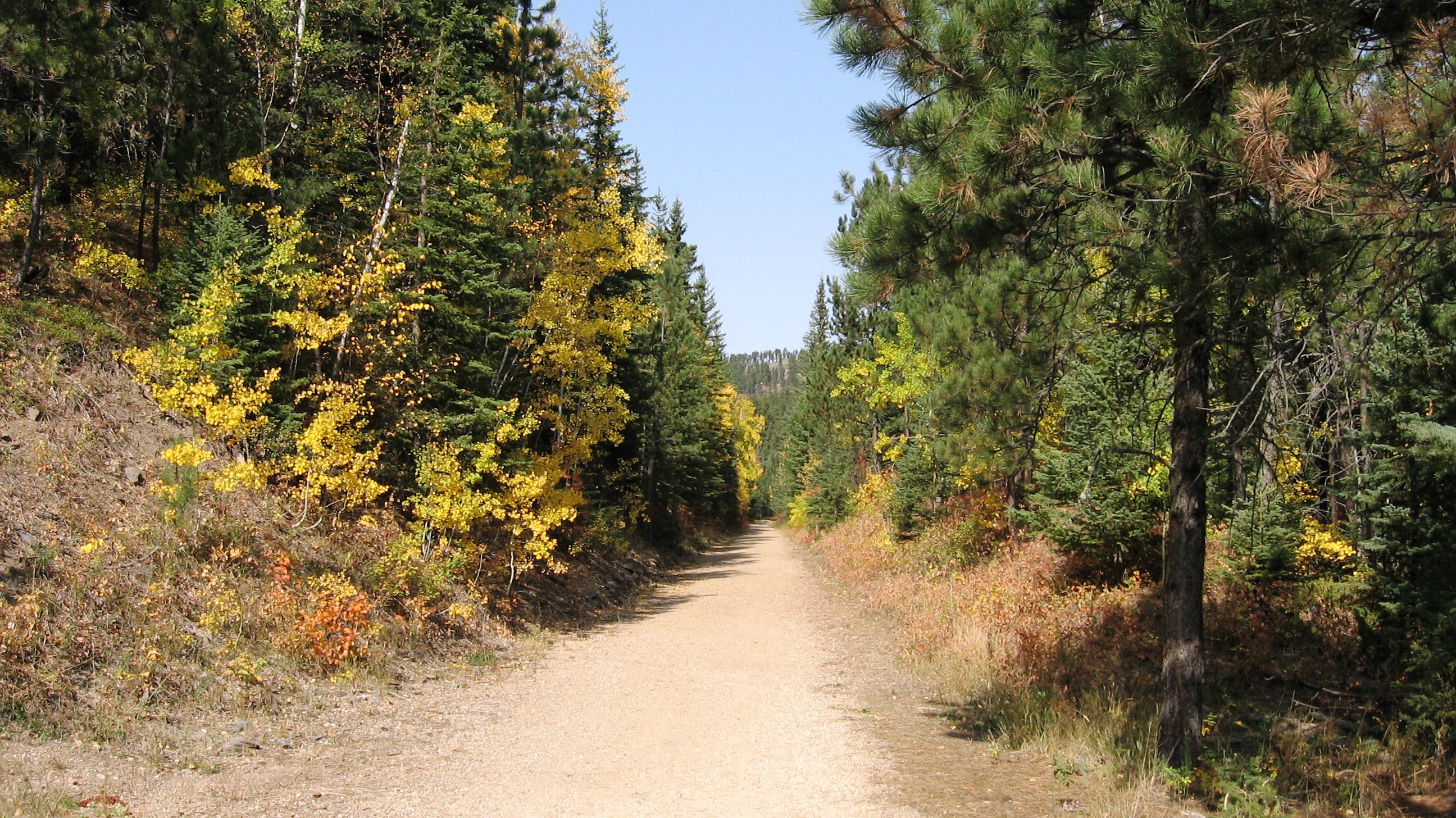 Descarga gratuita de fondo de pantalla para móvil de Otoño, Camino, Tierra/naturaleza.