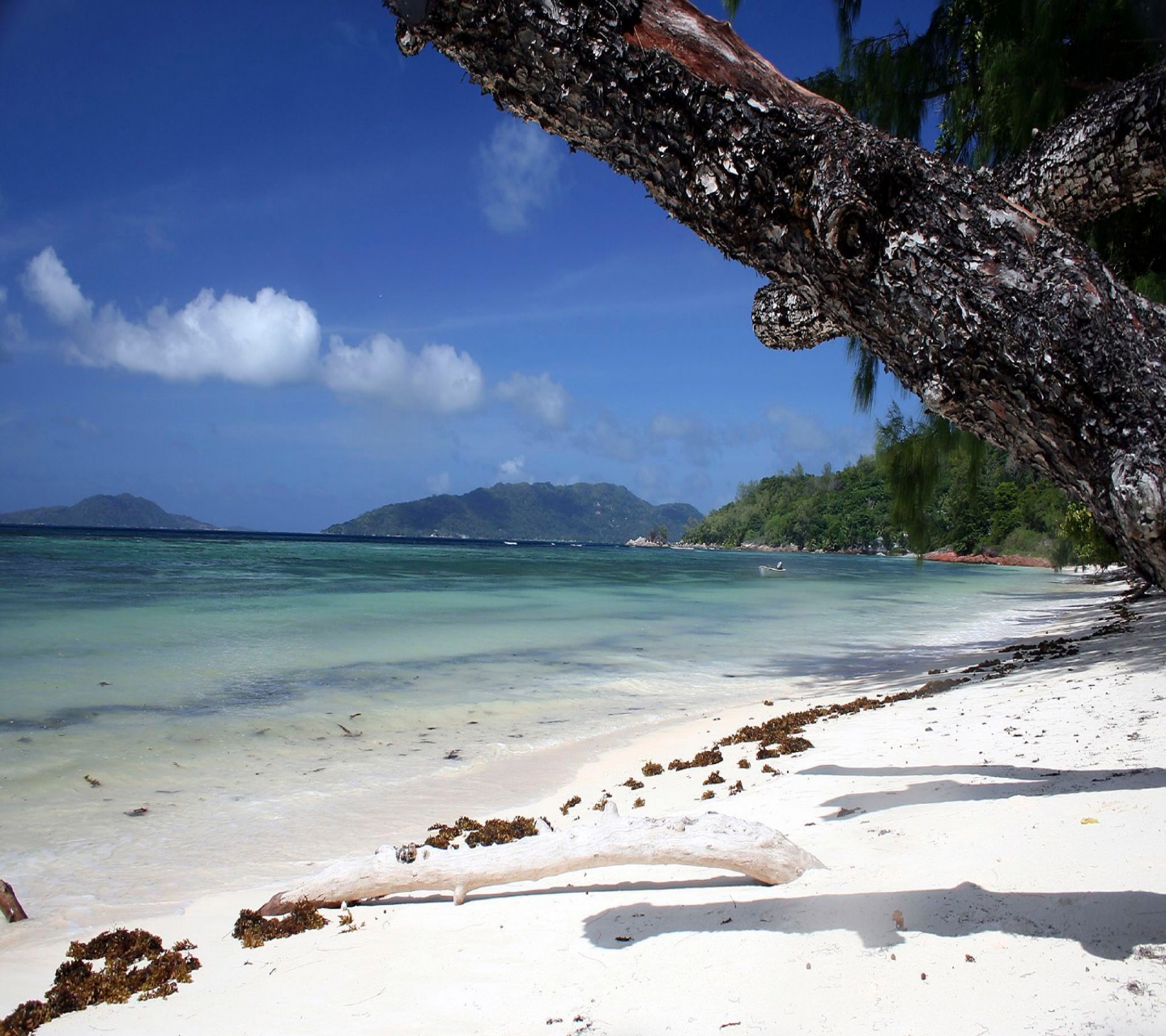 Descarga gratuita de fondo de pantalla para móvil de Playa, Tierra/naturaleza.