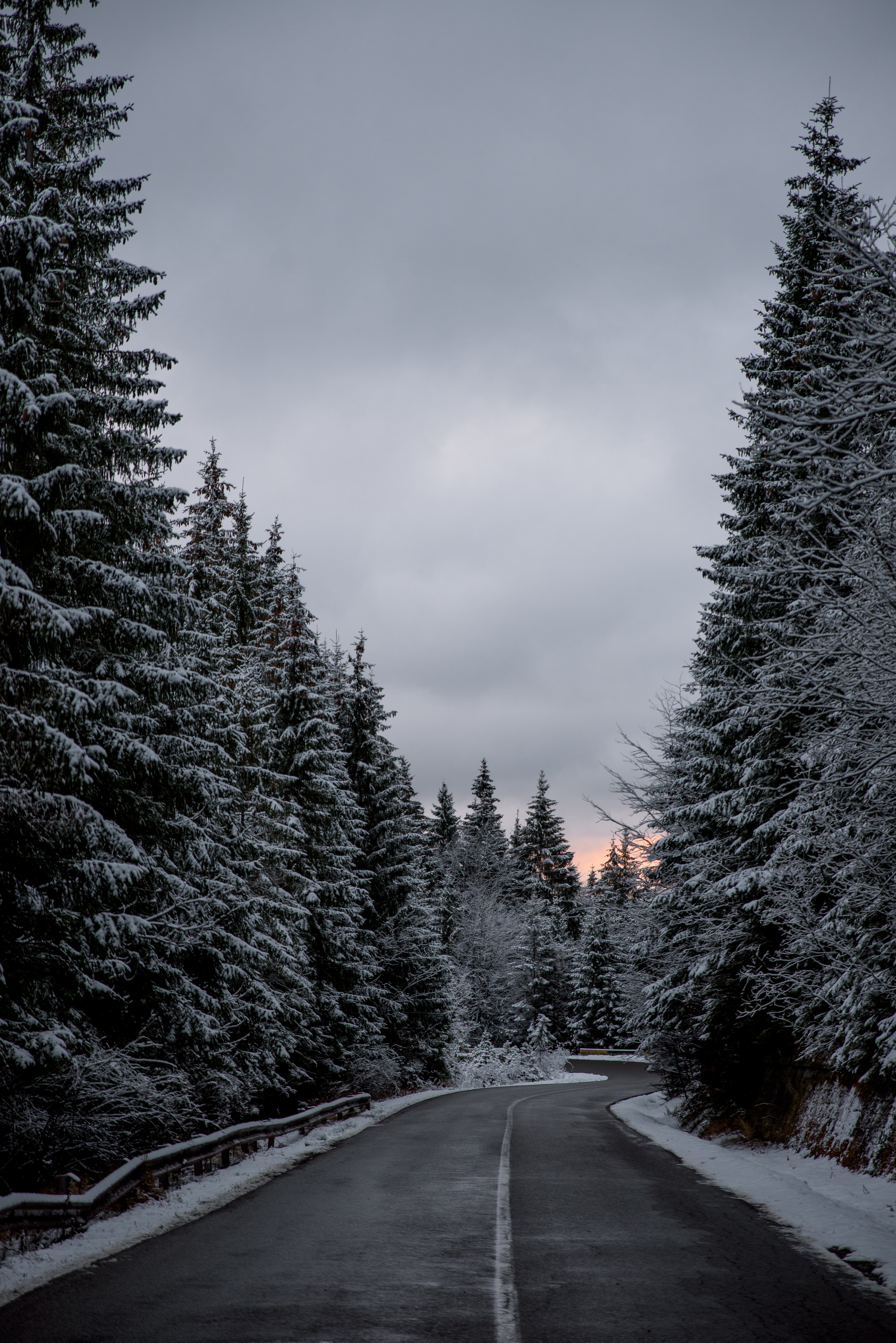 Download mobile wallpaper Winter, Snow, Road, Nature, Trees for free.