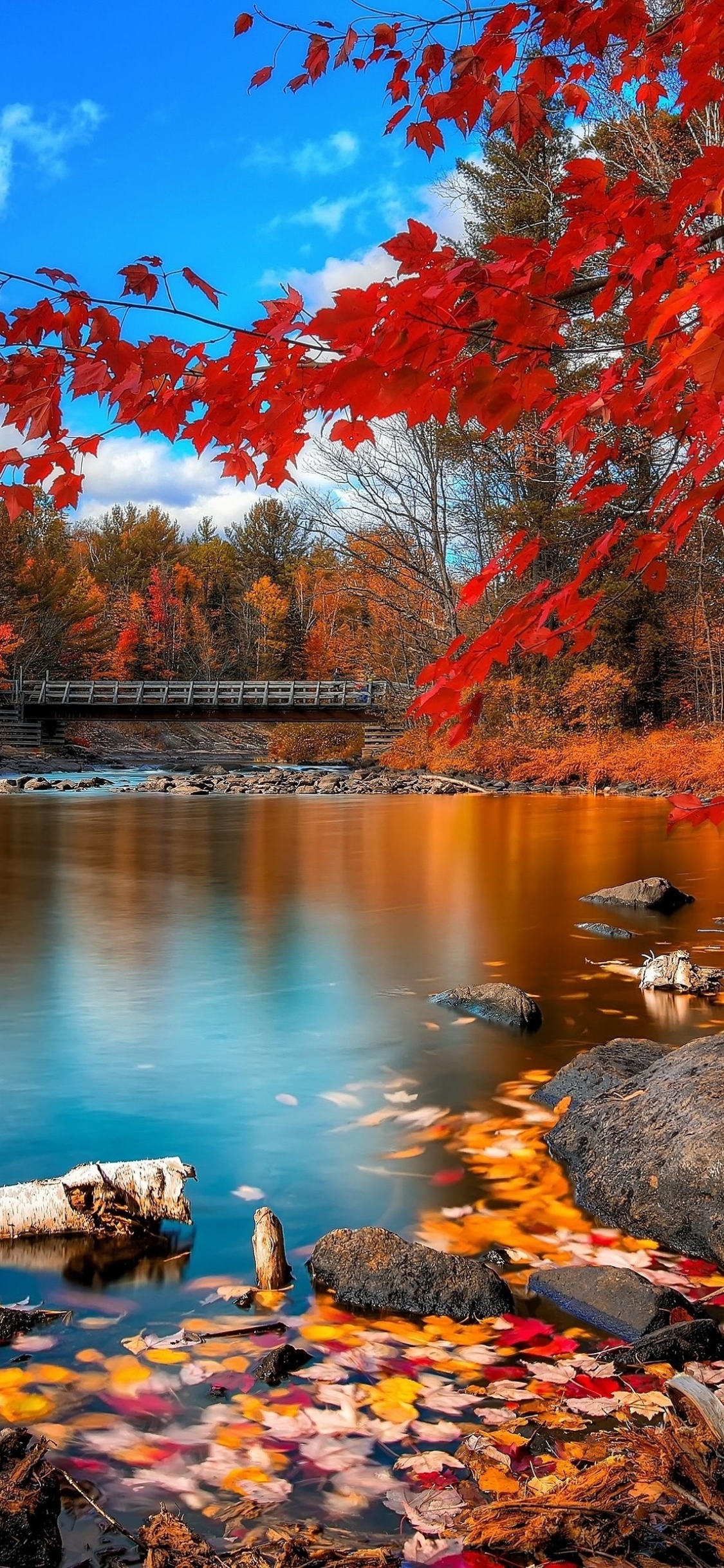 Handy-Wallpaper Natur, Wasser, Herbst, See, Blatt, Erde/natur kostenlos herunterladen.