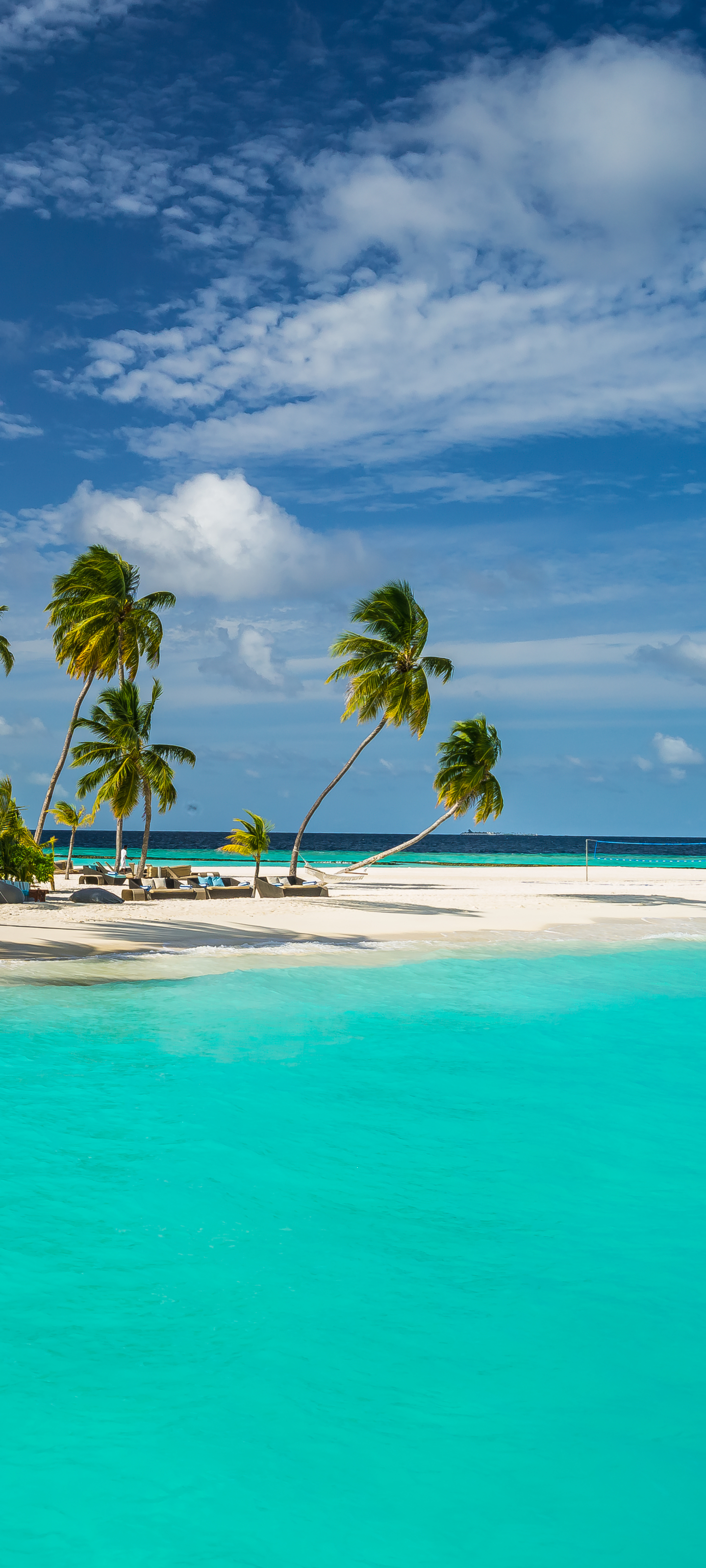 Скачати мобільні шпалери Пальма, Тропіки, Тропічний, Фотографія, Мальдіви безкоштовно.