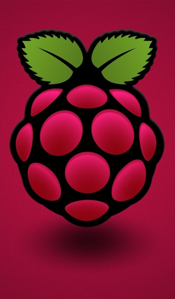 technology, raspberry pi