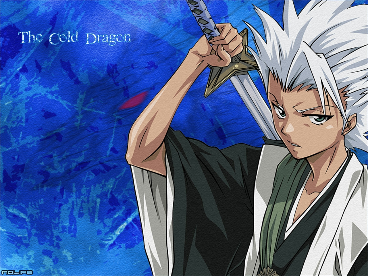 Free download wallpaper Anime, Bleach, Tōshirō Hitsugaya on your PC desktop