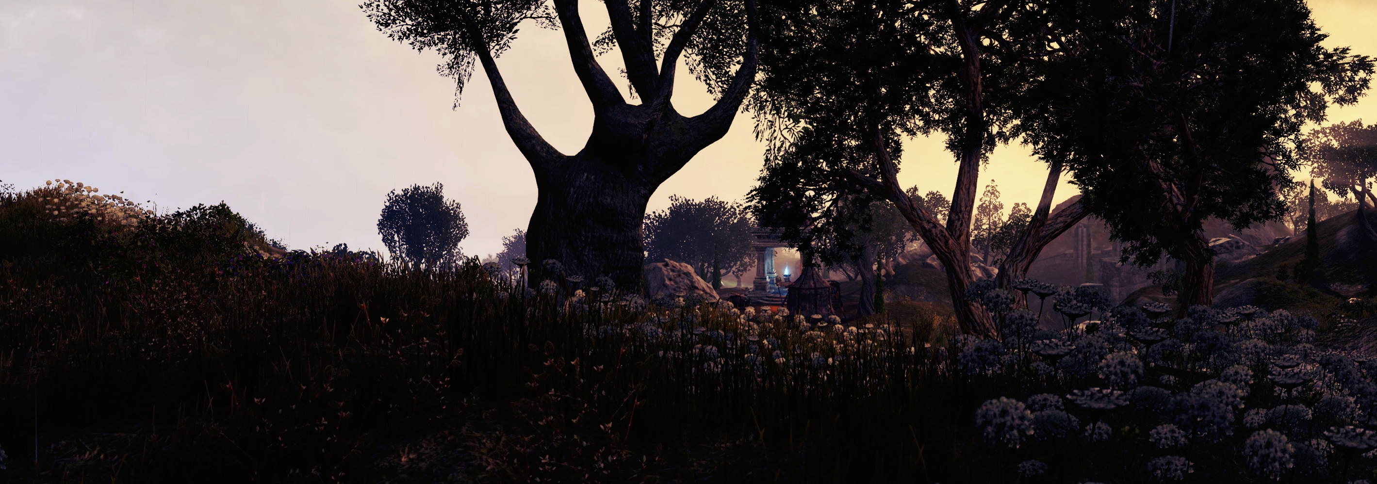 Descarga gratuita de fondo de pantalla para móvil de Árbol, Videojuego, The Elder Scrolls Online.