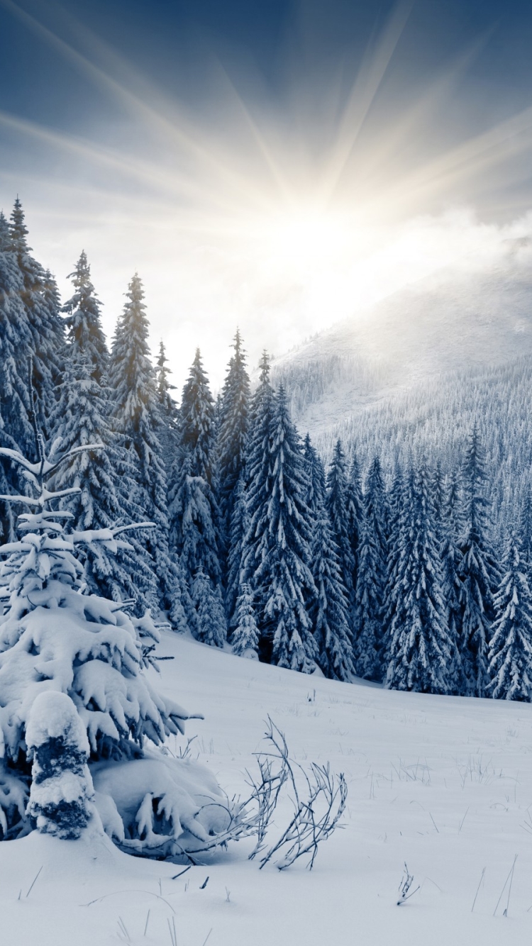 Téléchargez des papiers peints mobile Hiver, Terre/nature gratuitement.