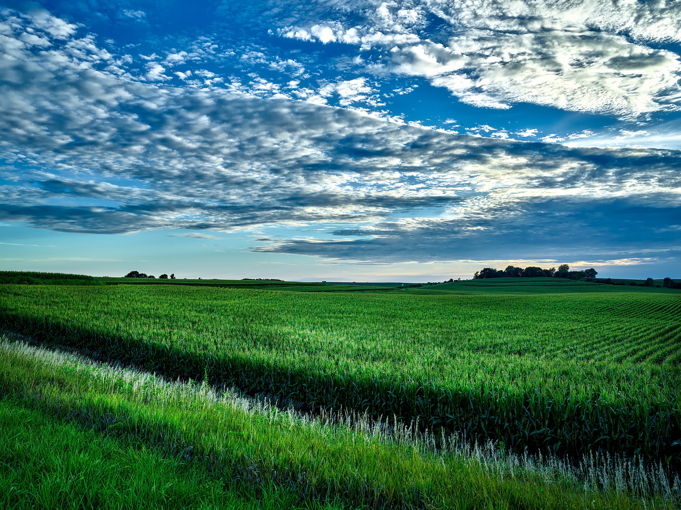 Free download wallpaper Landscape, Nature, Usa, Horizon, Earth, Field, Corn, Iowa on your PC desktop