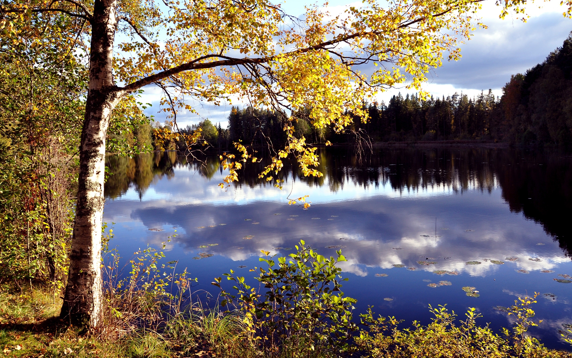 無料モバイル壁紙風景, 川, 秋をダウンロードします。