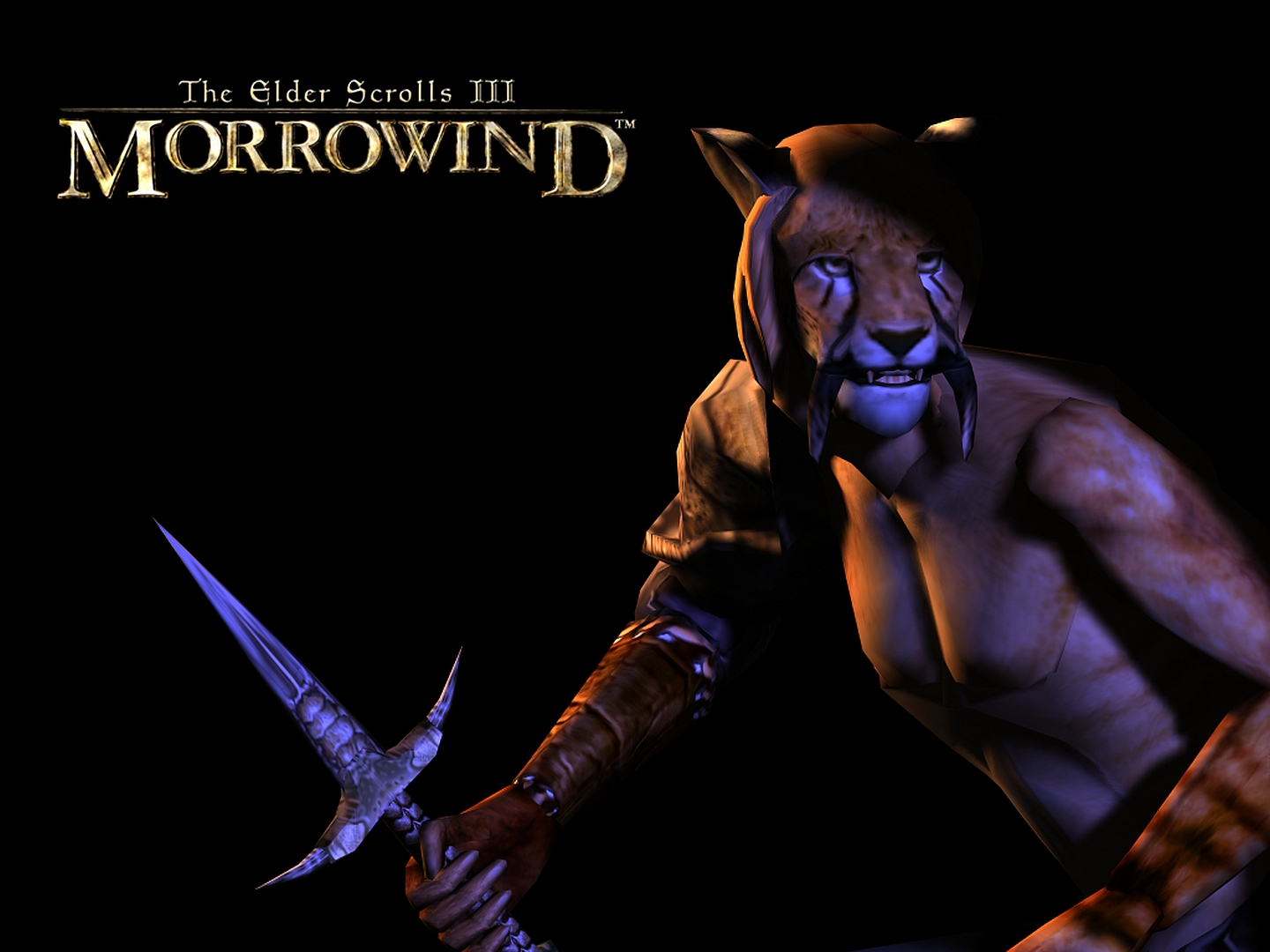Descarga gratuita de fondo de pantalla para móvil de The Elder Scrolls Iii: Morrowind, Los Documentos Antiguos, Videojuego.