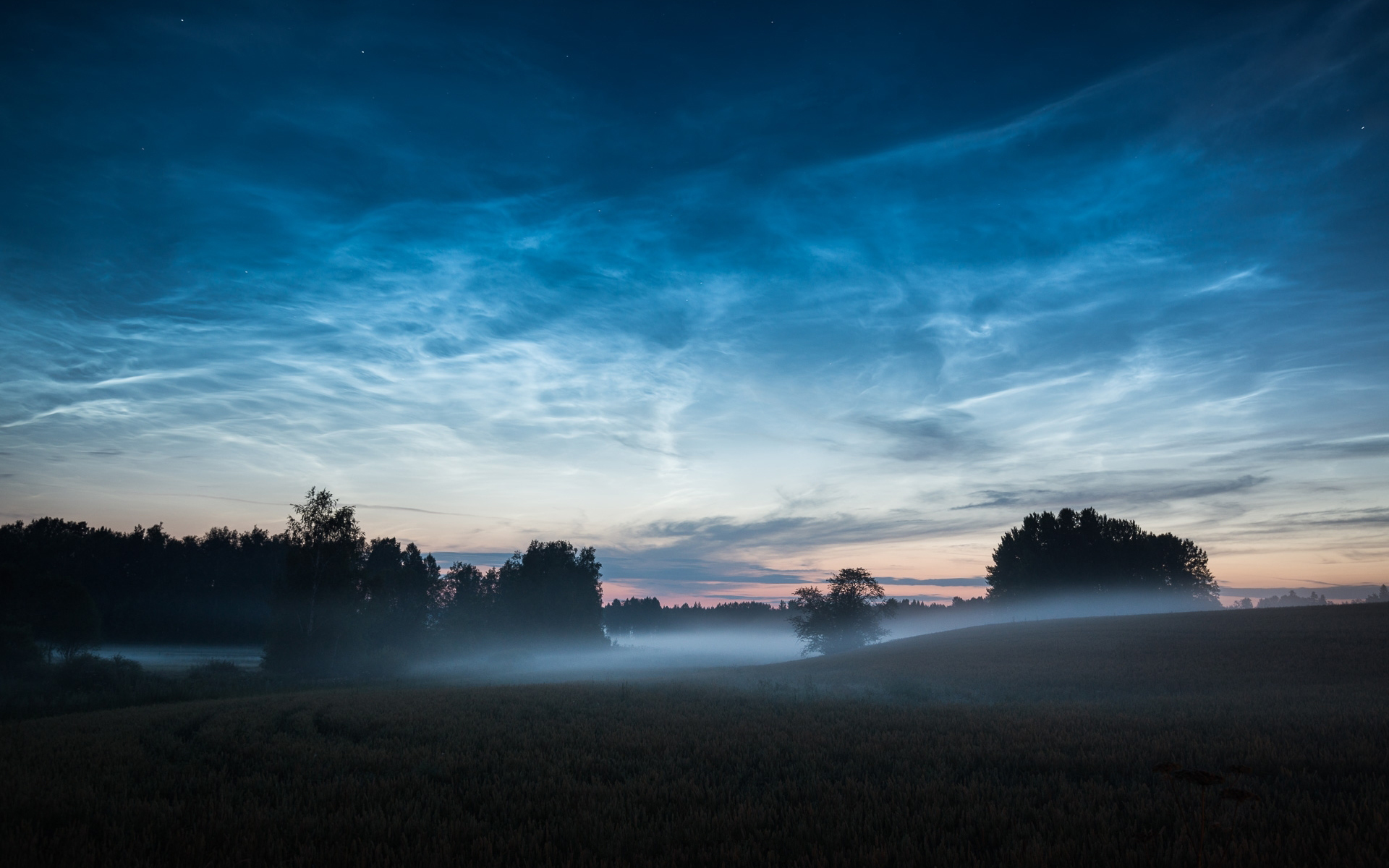 Free download wallpaper Nature, Sky, Night, Tree, Fog, Earth on your PC desktop