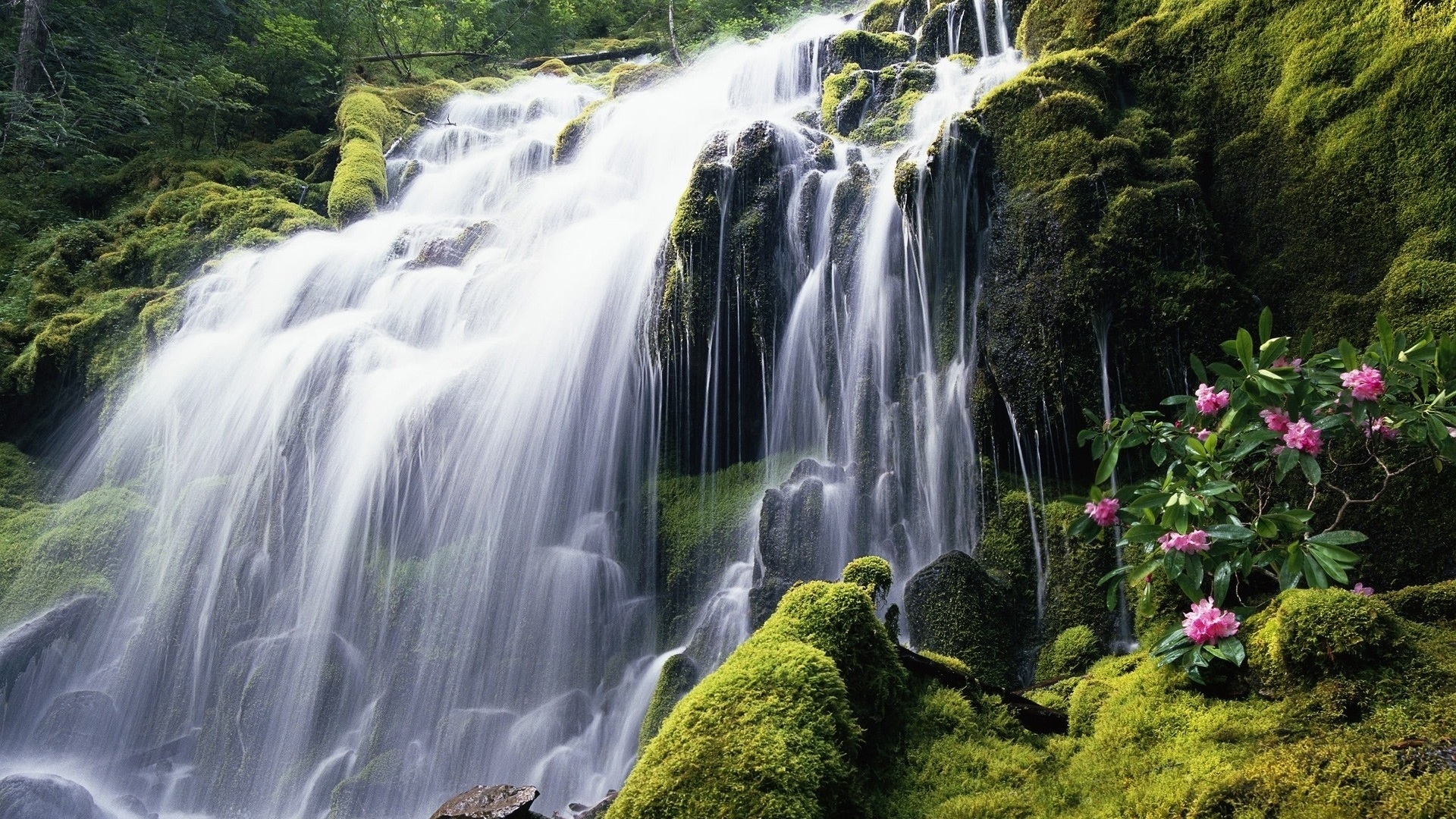Free download wallpaper Waterfalls, Waterfall, Earth, Greenery on your PC desktop