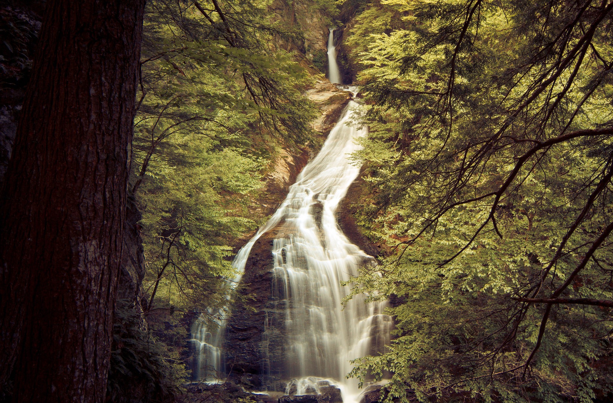 Download mobile wallpaper Waterfall, Waterfalls, Forest, Earth for free.