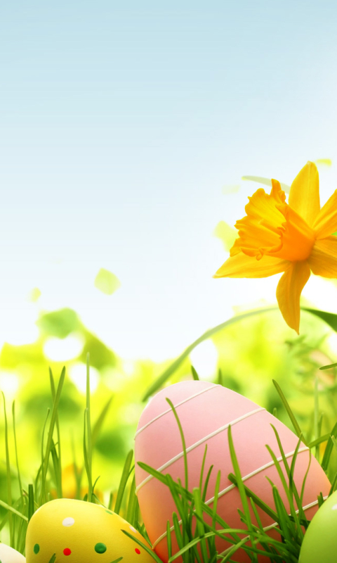 Download mobile wallpaper Easter, Holiday for free.