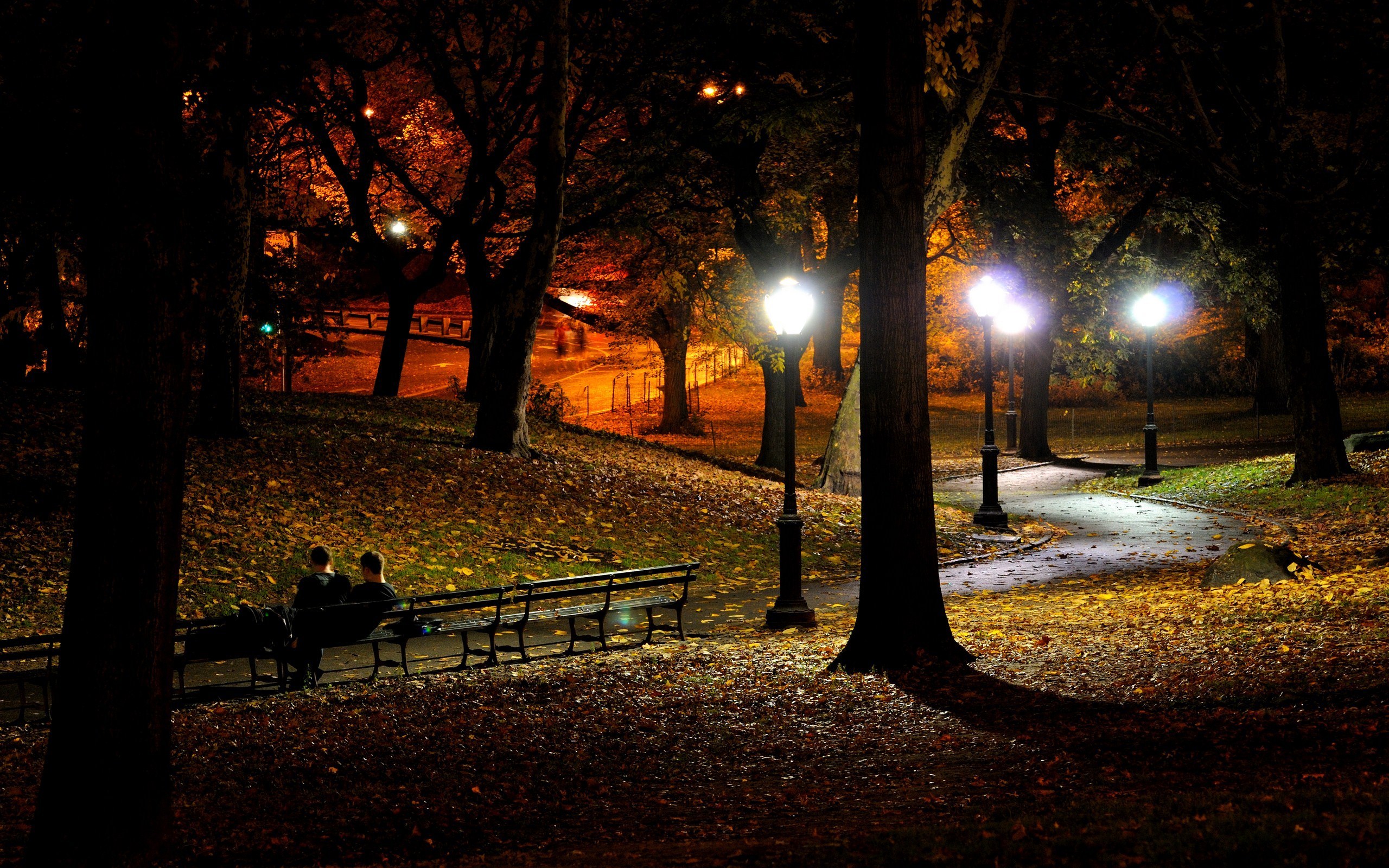 Descarga gratuita de fondo de pantalla para móvil de Parque, Fotografía.