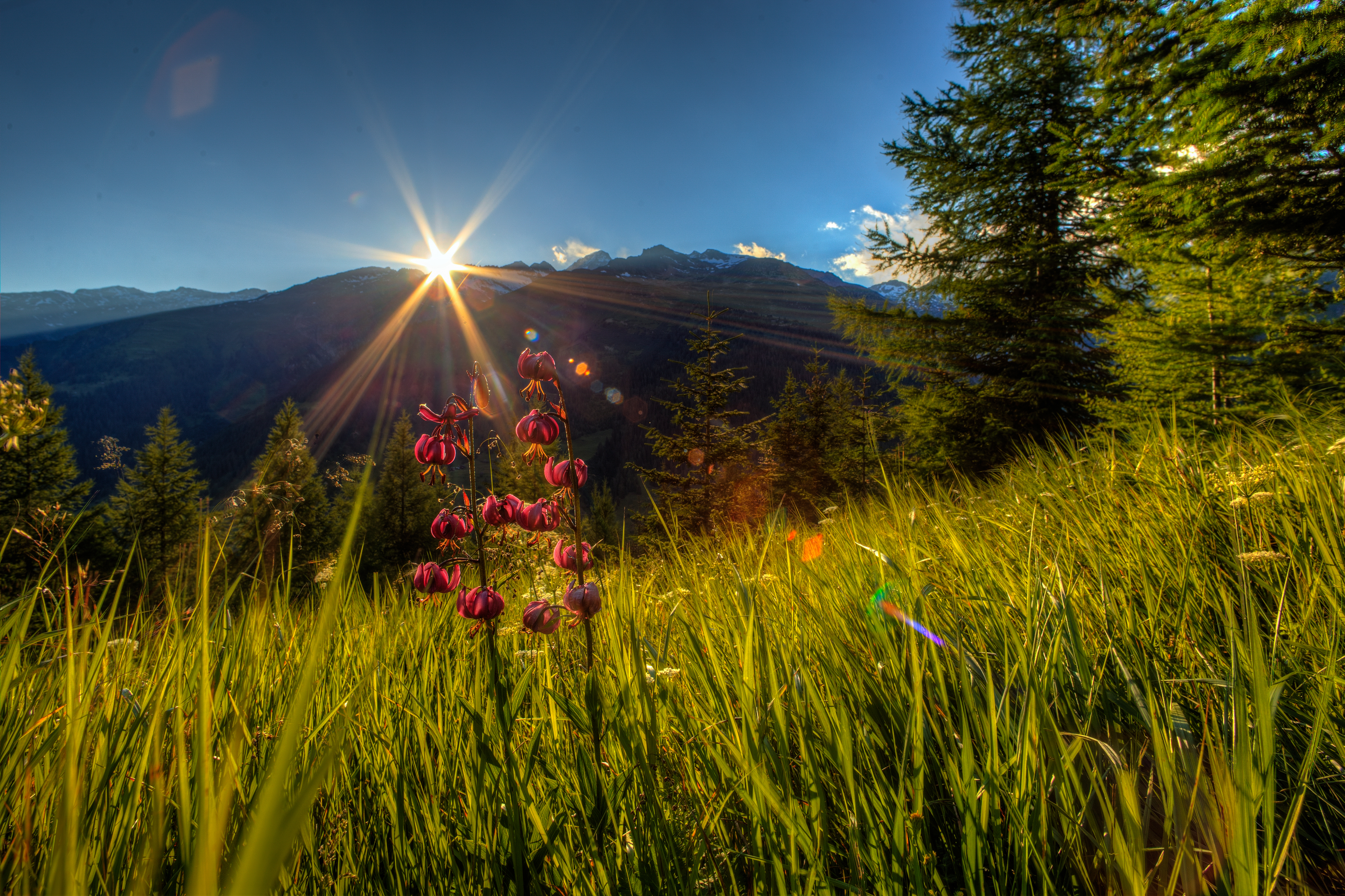 Free download wallpaper Landscape, Nature, Grass, Sun, Mountain, Flower, Earth, Sunbeam on your PC desktop