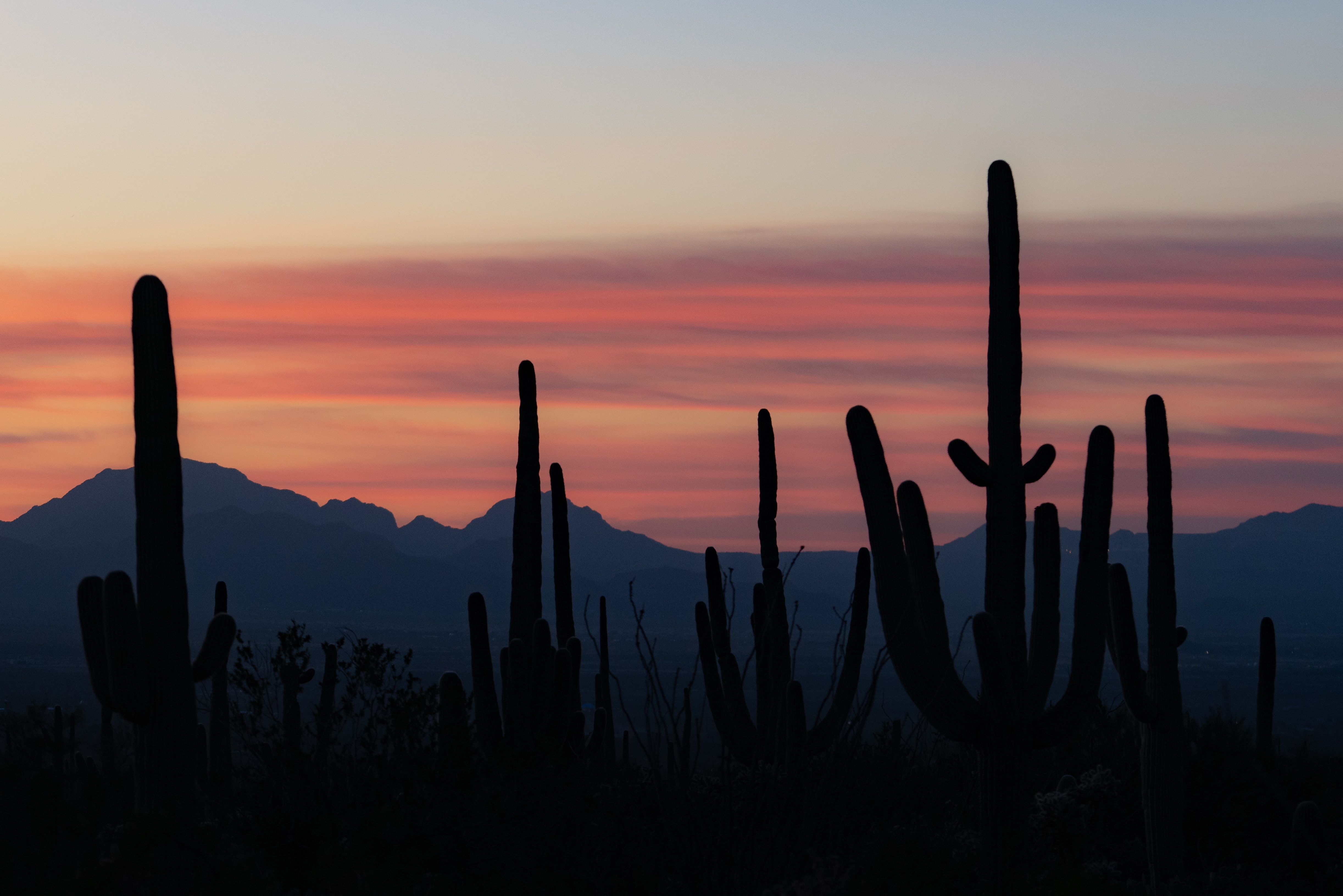 Free download wallpaper Twilight, Dusk, Mountains, Cactuses, Dark, Silhouettes on your PC desktop